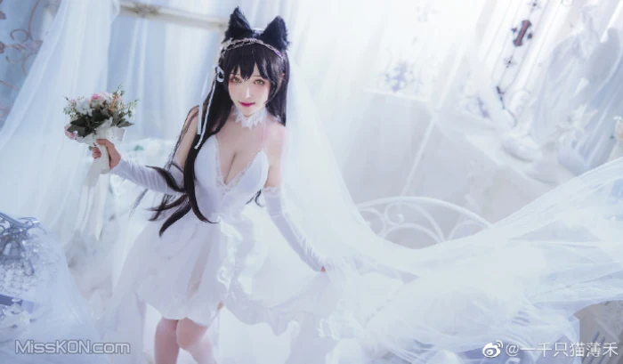 Coser@一千只猫薄禾_ 微博杂图