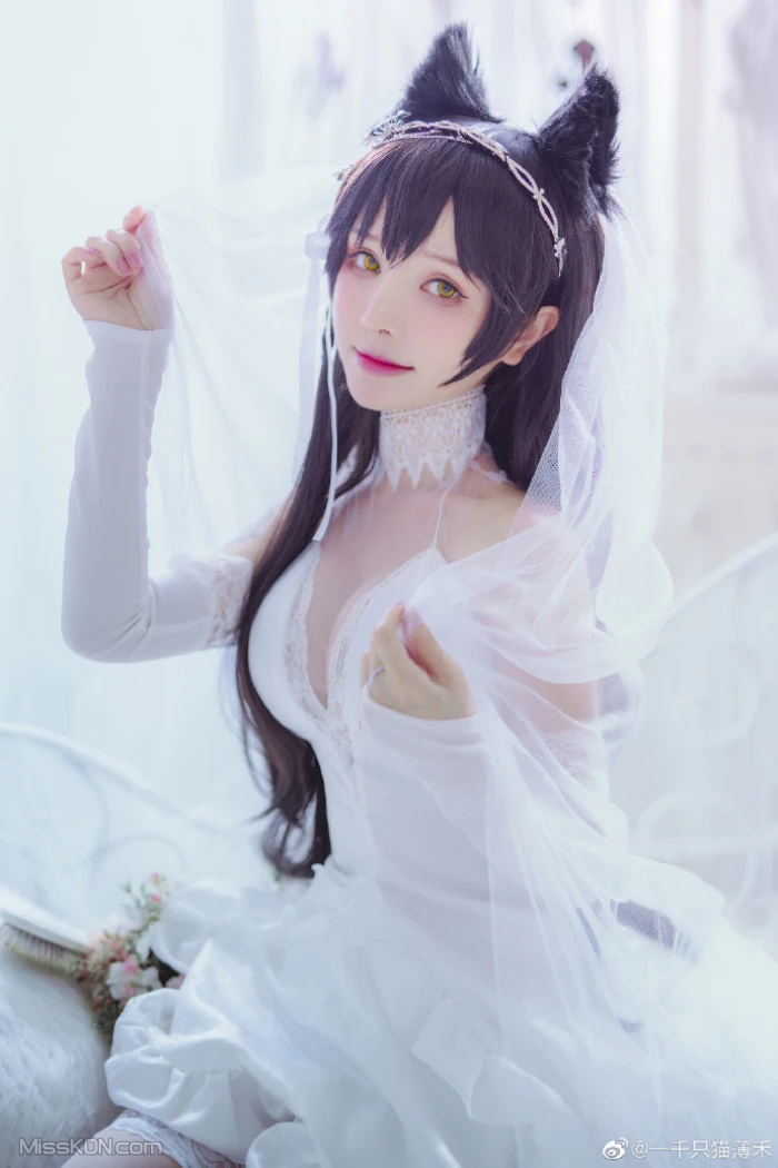 Coser@一千只猫薄禾_ 微博杂图