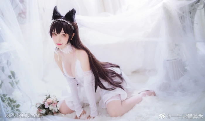 Coser@一千只猫薄禾_ 微博杂图