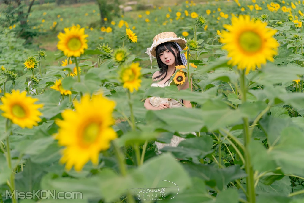 Coser@黏黏团子兔_ 夏の葵