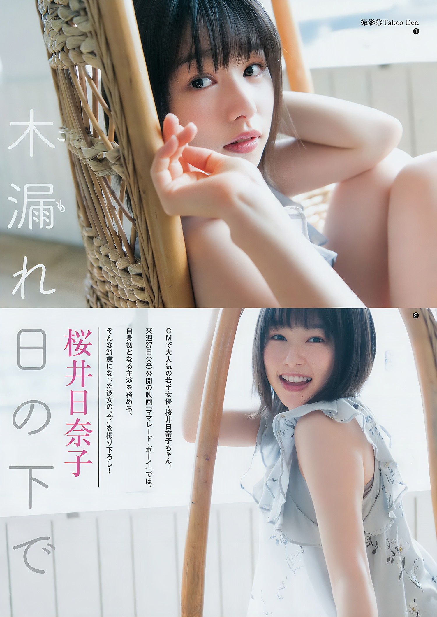 澤北るな 桜井日奈子, Young Jump 2018 No.20 (ヤングジャンプ 2018年20号)