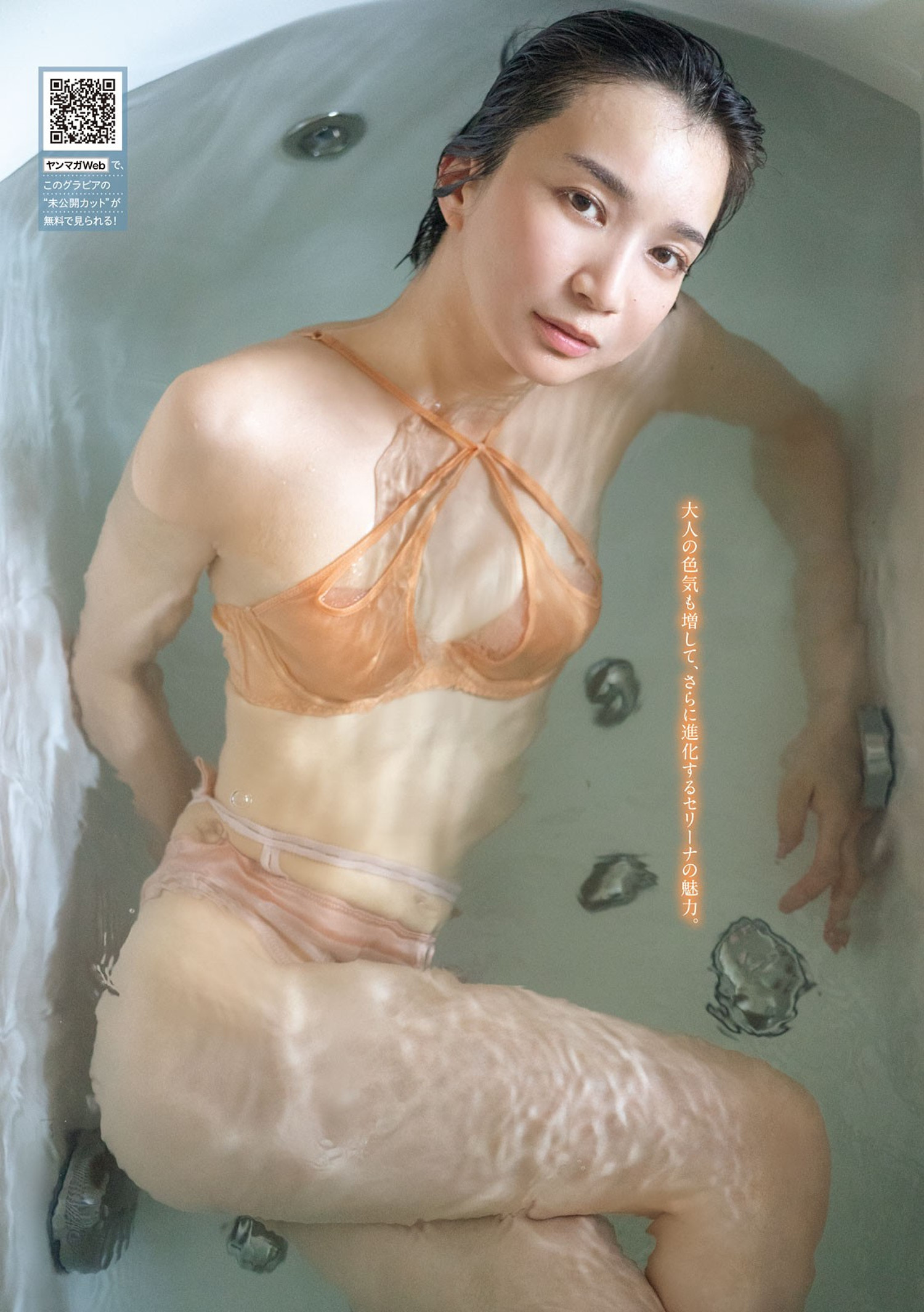 Serina 芹那, Young Magazine 2024 No.52 (ヤングマガジン 2024年52号)