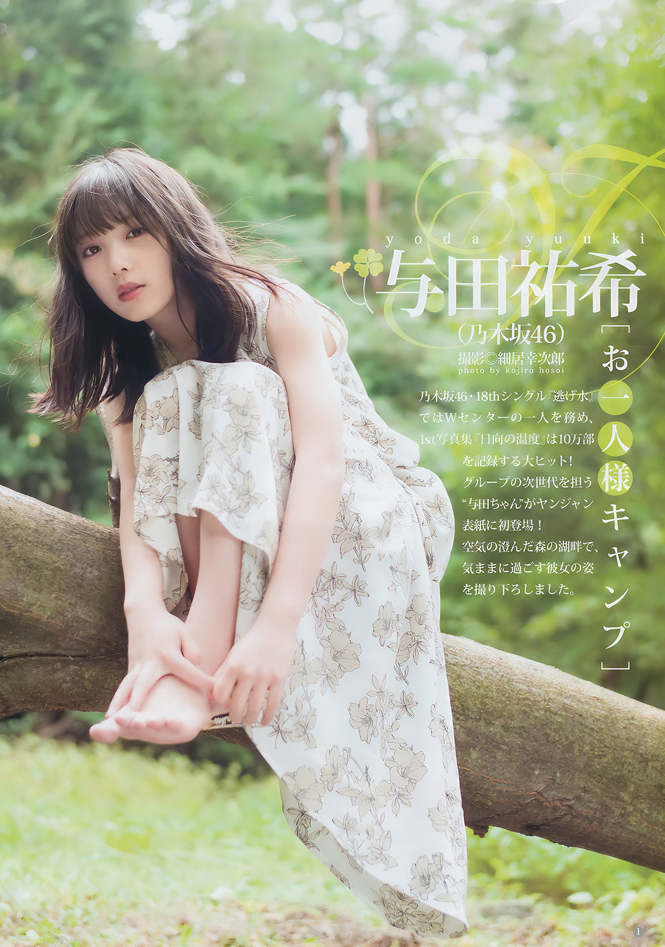 与田祐希 田中えれな 宮﨑優, Young Jump 2018 No.49 (ヤングジャンプ 2018年49号)