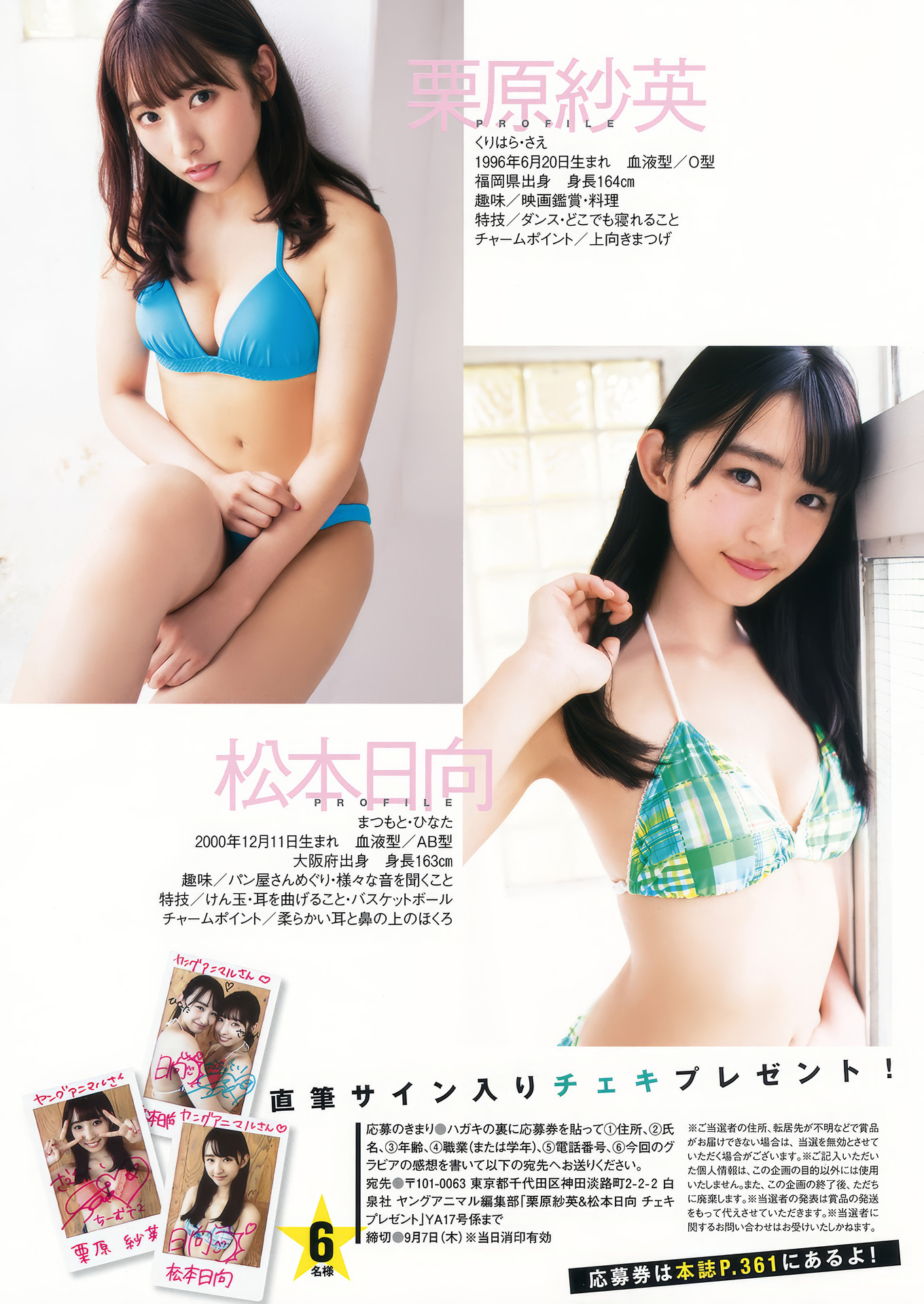 HKT48, Young Animal 2017 No.17 (ヤングアニマル 2017年17号)