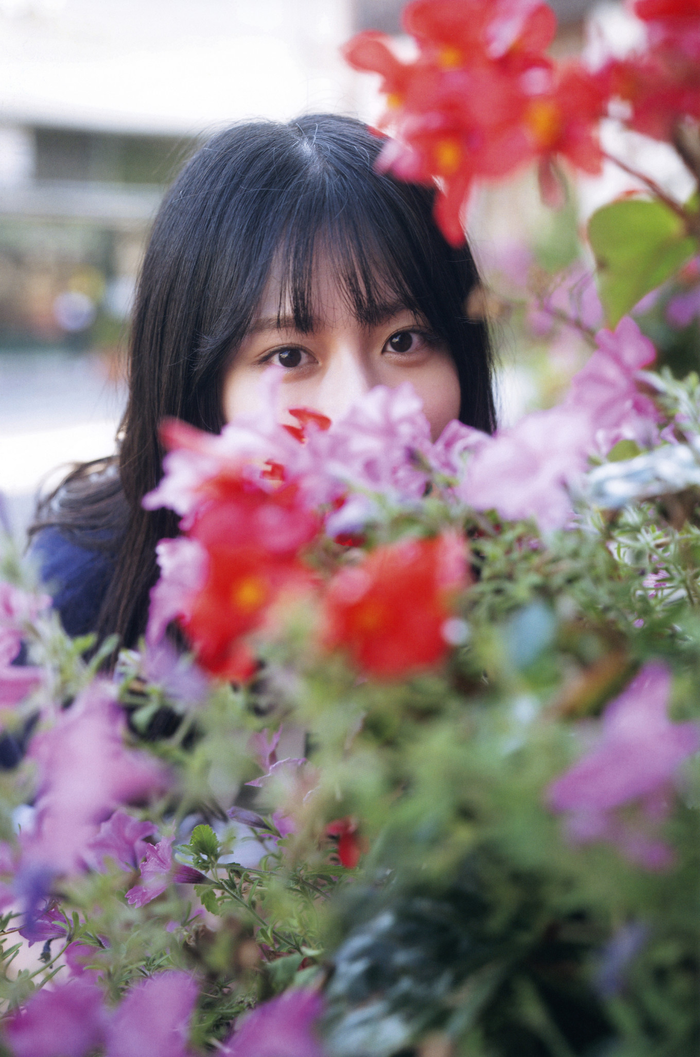 Hikari Kabashima 椛島光, 1st写真集 『chouchou』 Set.03