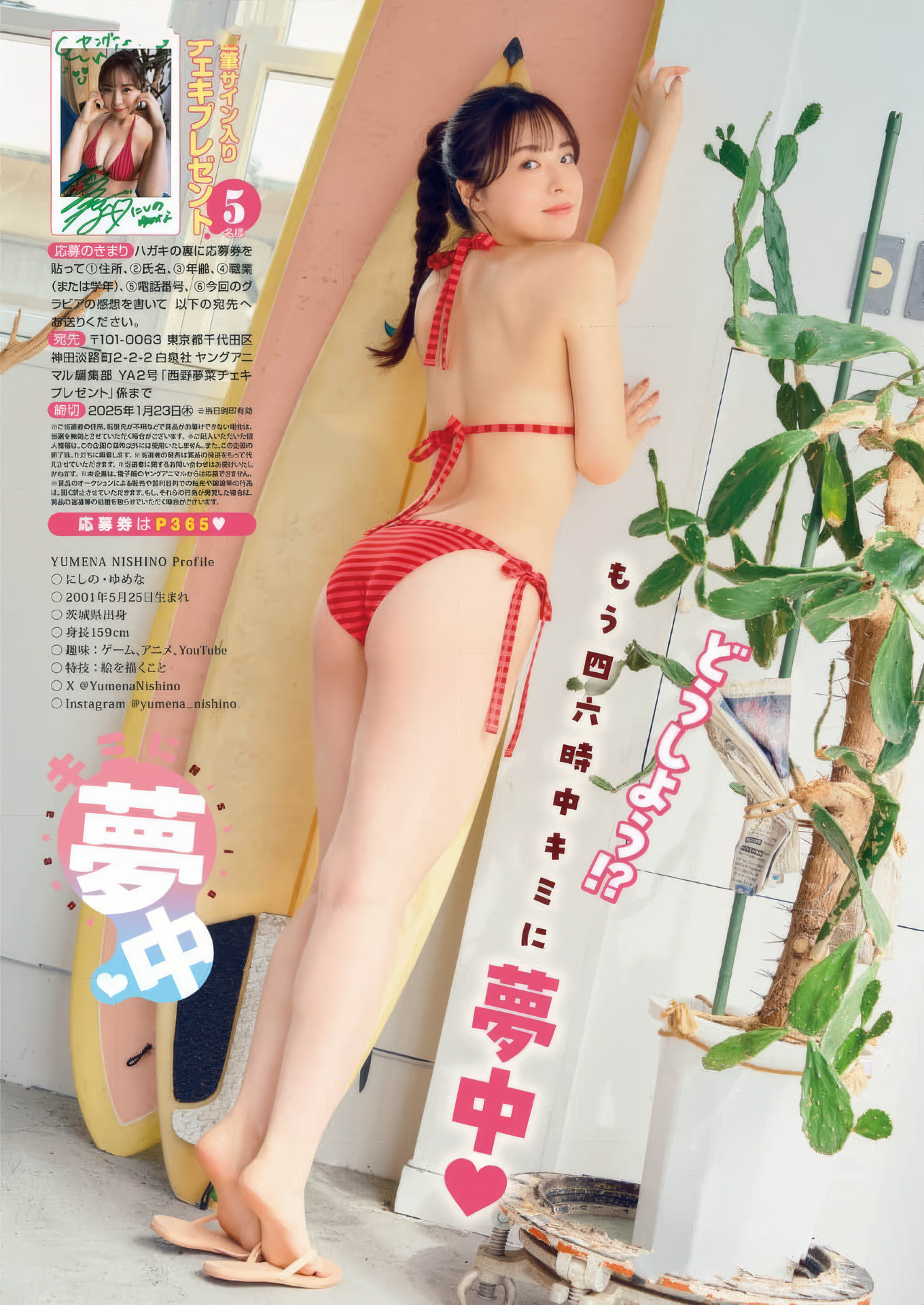 Yumena Nishino 西野梦菜, Young Animal 2025 No.02 (ヤングアニマル 2025年2号)
