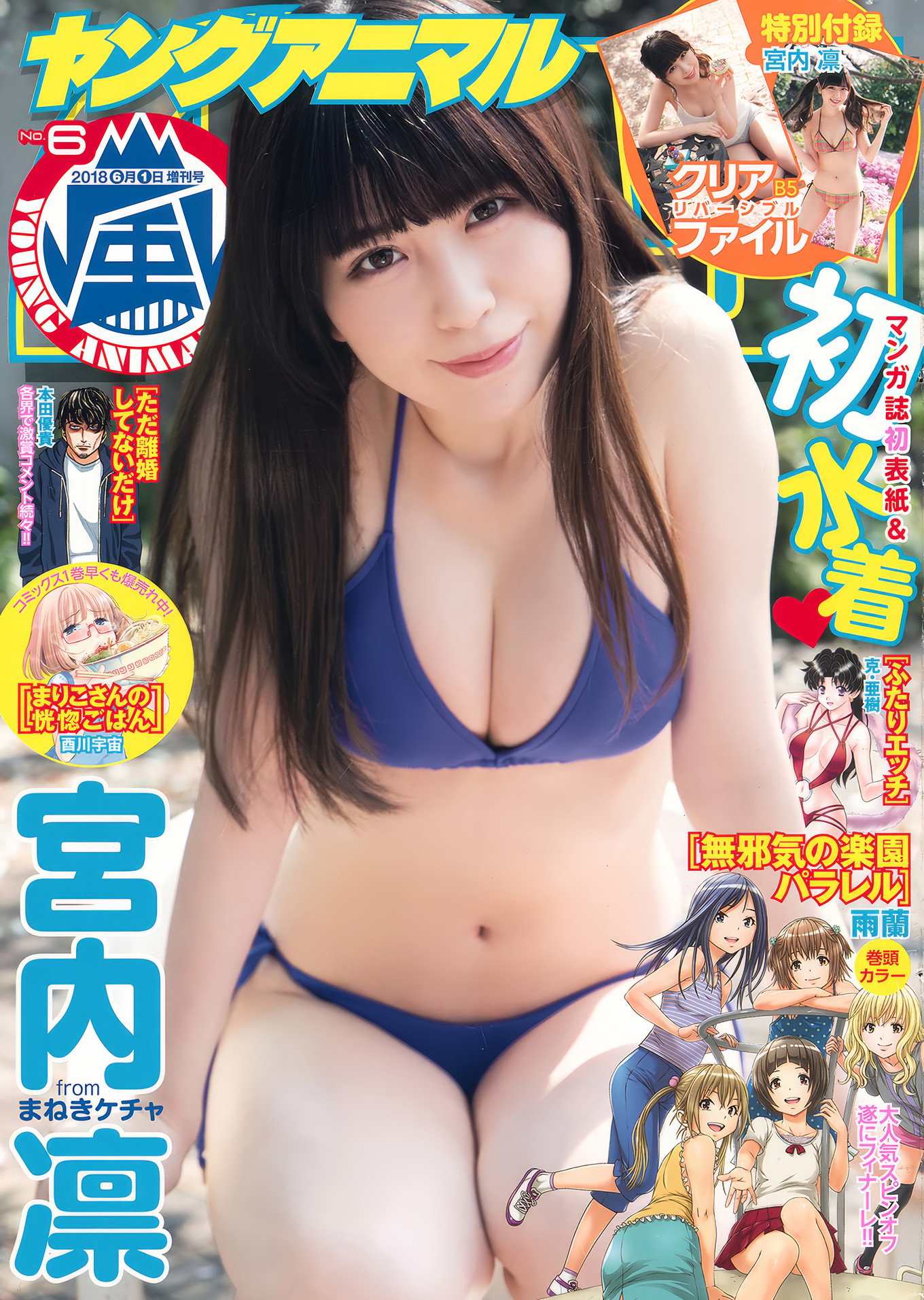 Rin Miyauchi 宮内凛, Young Animal Arashi 2018 No.06 (ヤングアニマル嵐 2018年6月号)