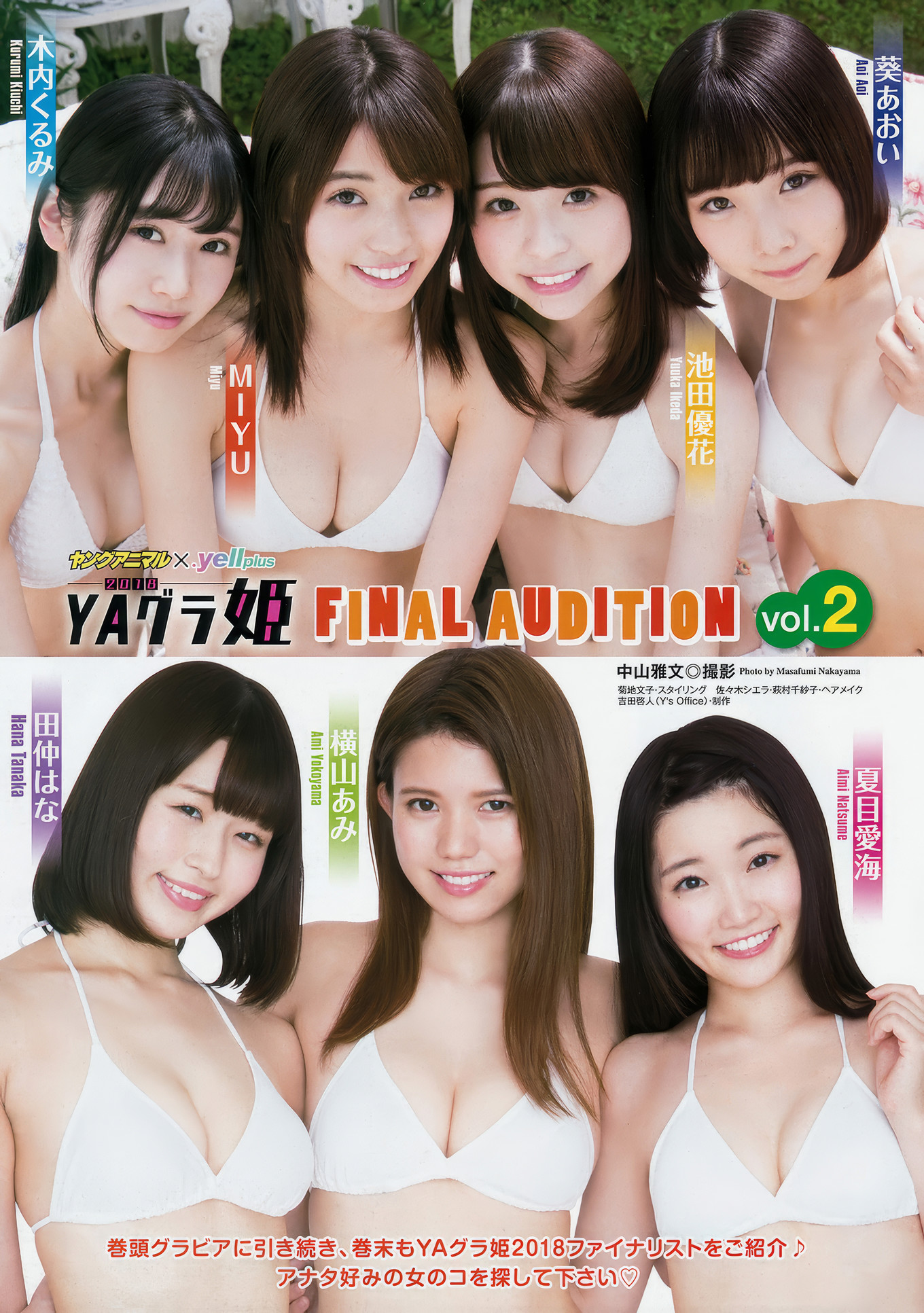 YAグラ姫 FINAL AUDITION, Young Animal 2017 No.22 (ヤングアニマル 2017年22号)