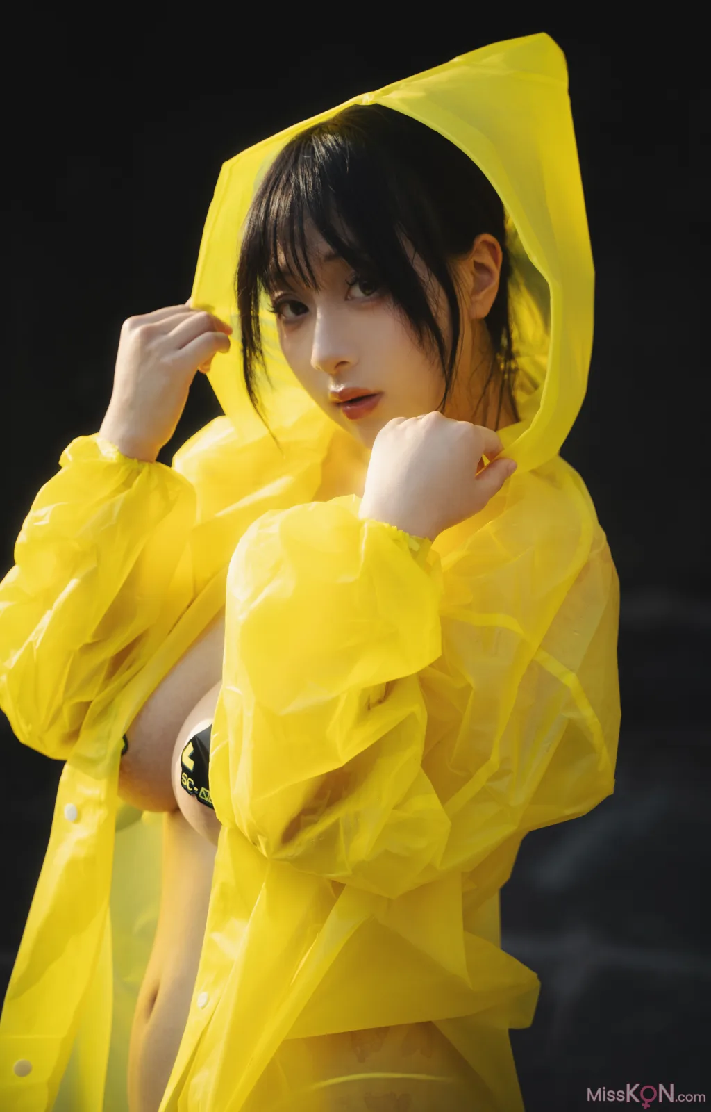 Coser@浅安安_ 湮灭