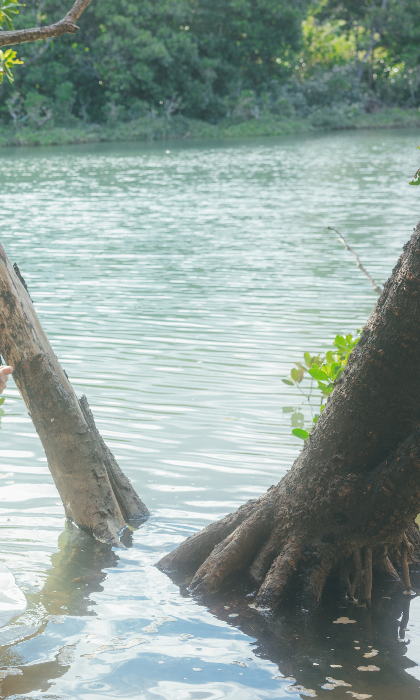 Miku Tanaka 田中美久, 周プレ Photo Book 「キミの街まで」 Set.01