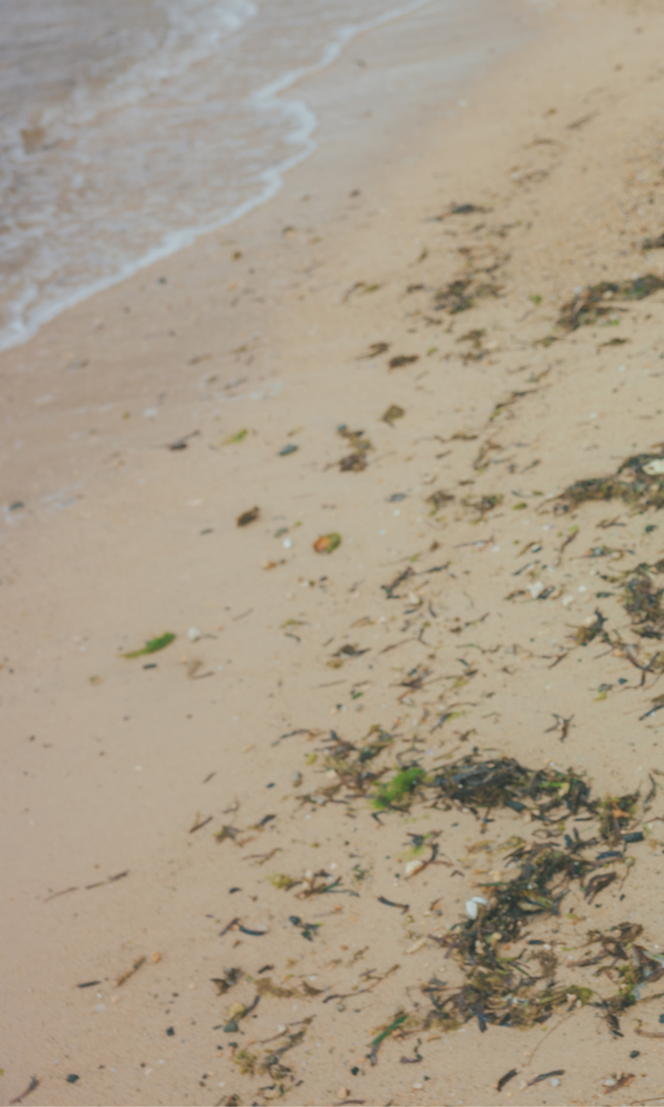 Miku Tanaka 田中美久, 周プレ Photo Book 「キミの街まで」 Set.02