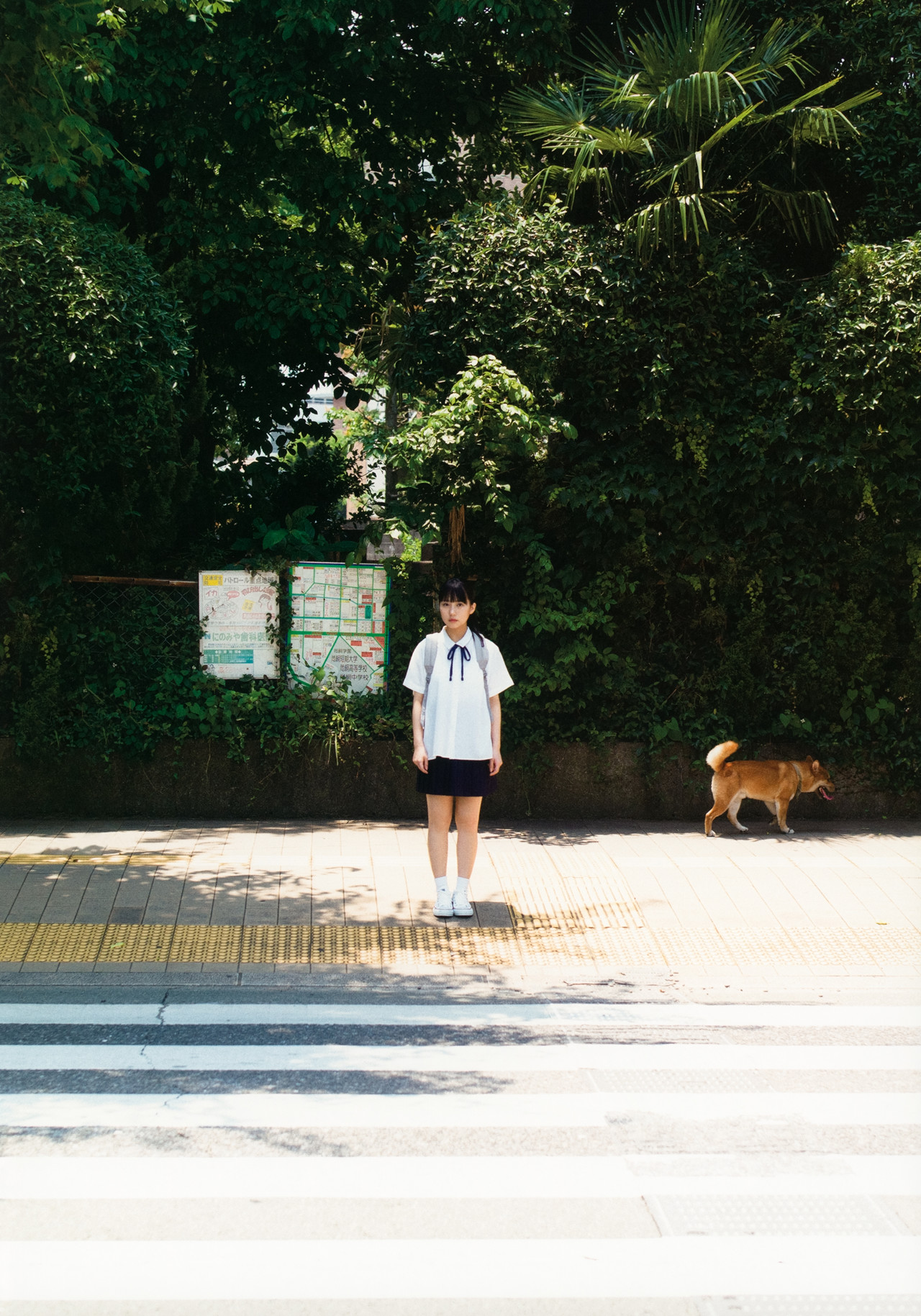 Miku Tanaka 田中美久, 1st写真集 「1／2少女」 Set.01