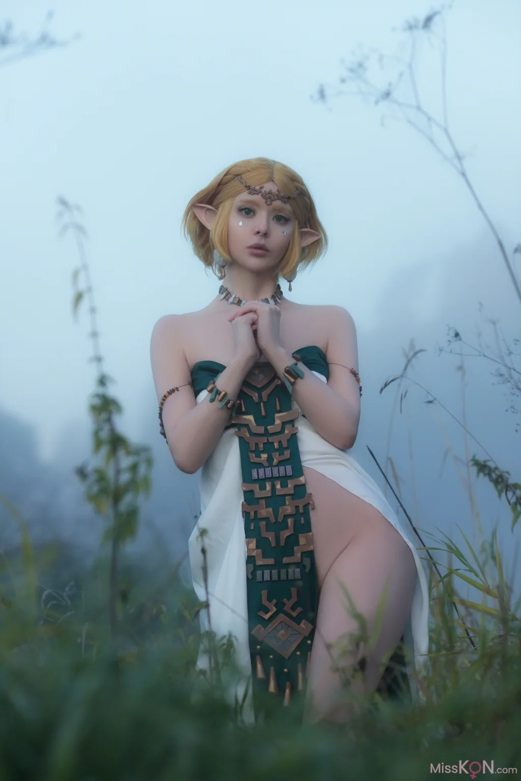 Coser@Vinnegal_ Zelda