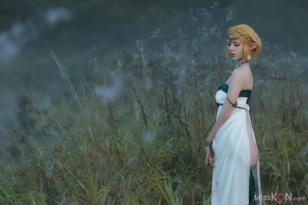 Coser@Vinnegal_ Zelda
