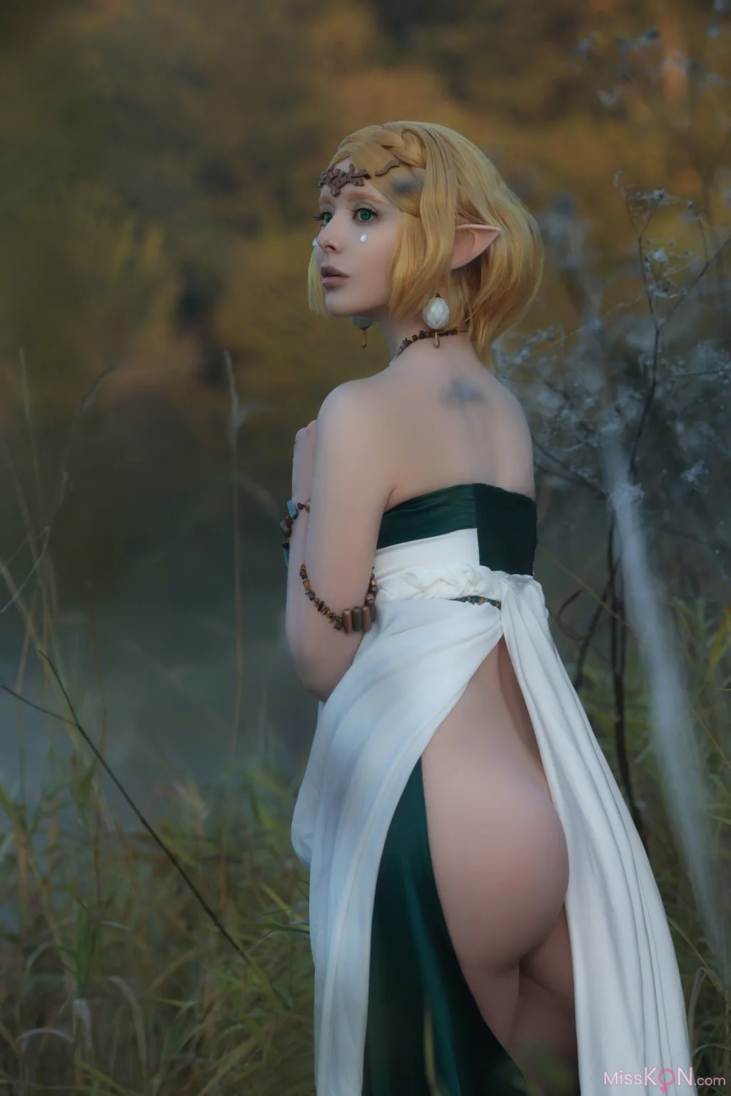 Coser@Vinnegal_ Zelda