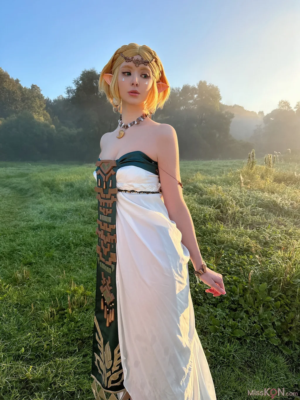 Coser@Vinnegal_ Zelda