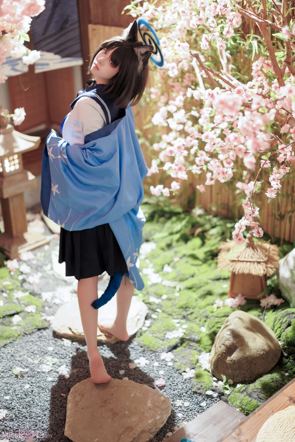 Coser@纸悦Etsu_ko_ 桔梗毛线团