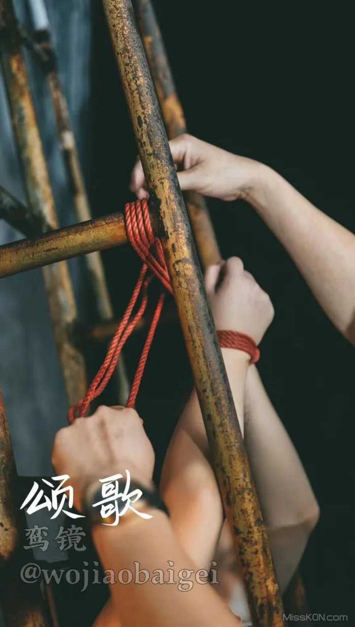 HK先生_ 性感色情写拍 众多福利姬美女尺度福利合集