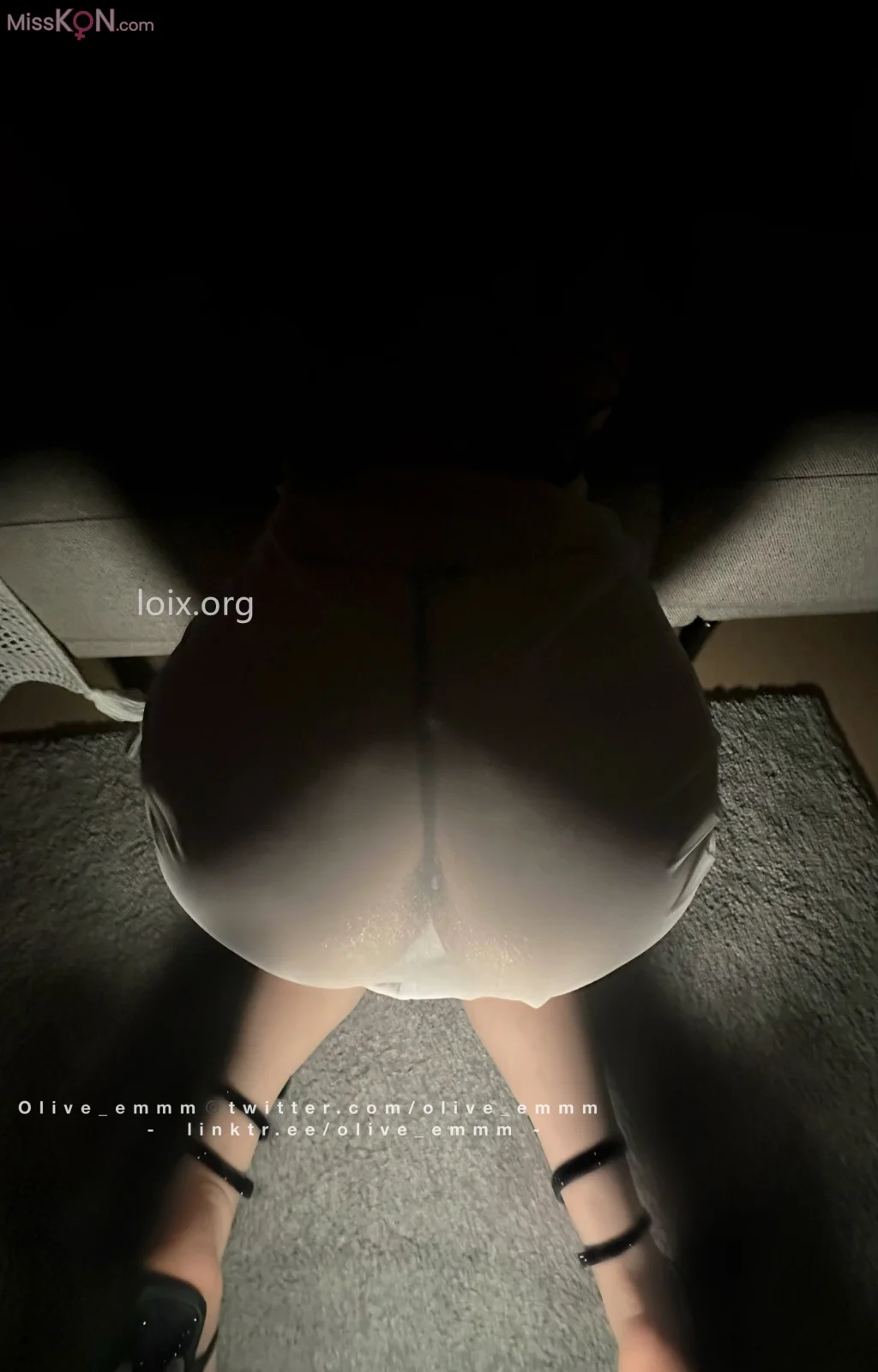 olive_emmm_ 半透明纱衣
