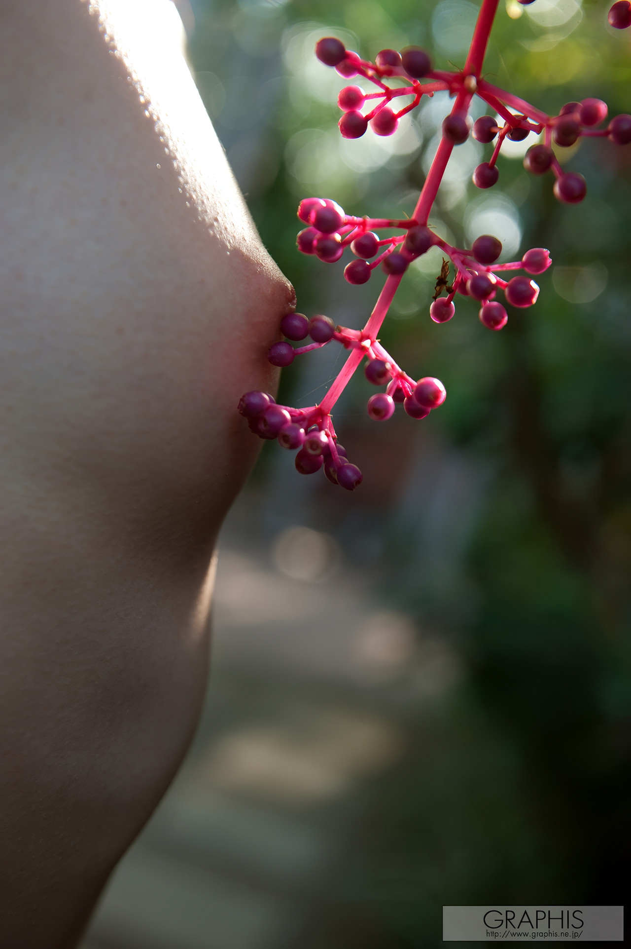 Graphis Special Girls Gravure in Australia 「Pink Framingo」 Set.02