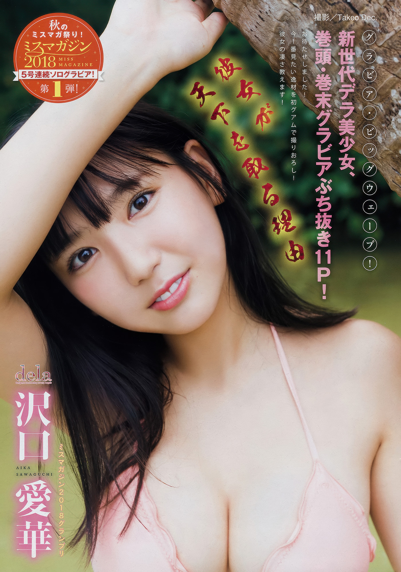 Aika Sawaguchi 沢口愛華, Young Magazine 2018 No.48 (ヤングマガジン 2018年48号)