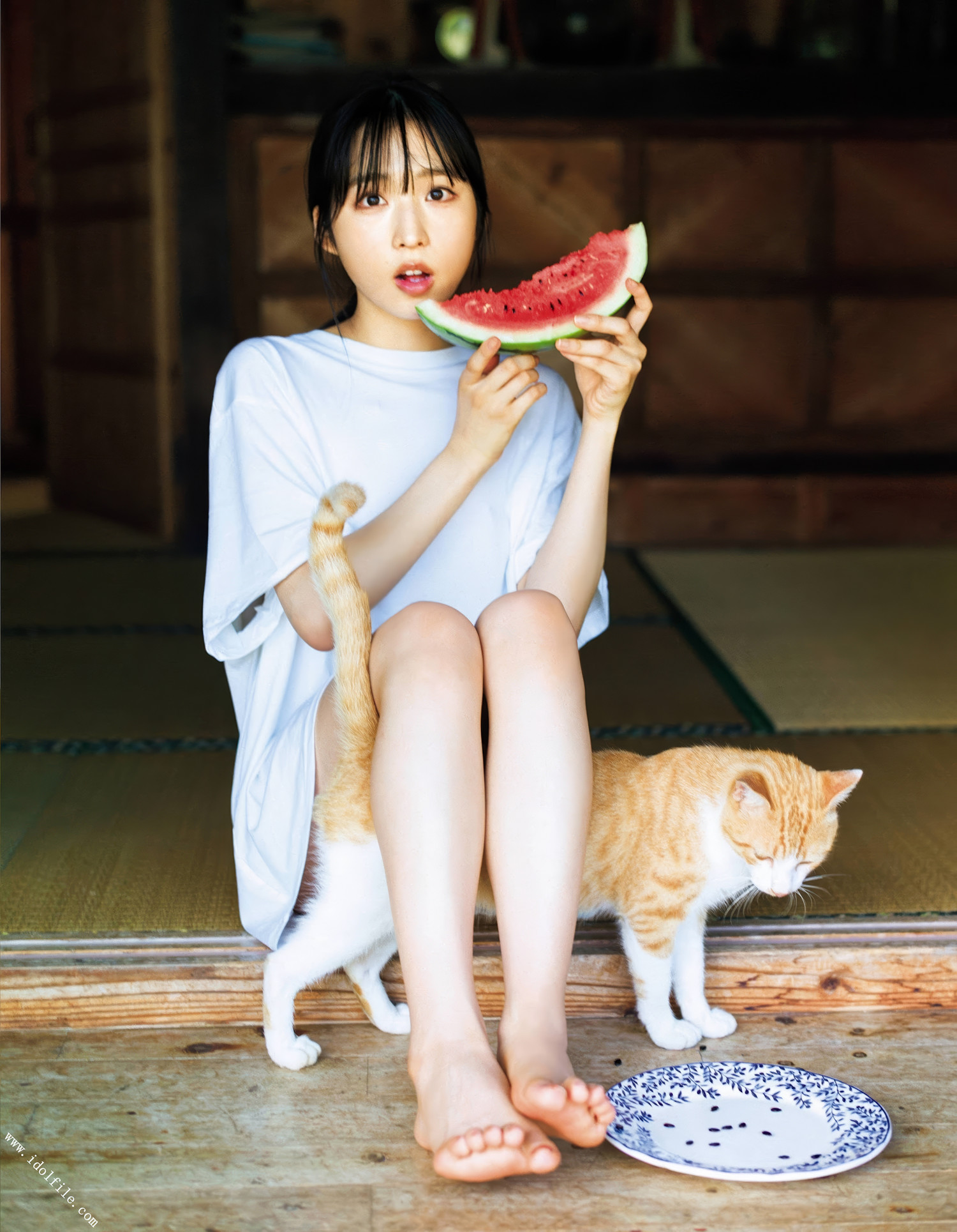 佐藤楓・小栗有以・高本彩花, Ex-Taishu 2024.03 (EX大衆 2024年3月号)