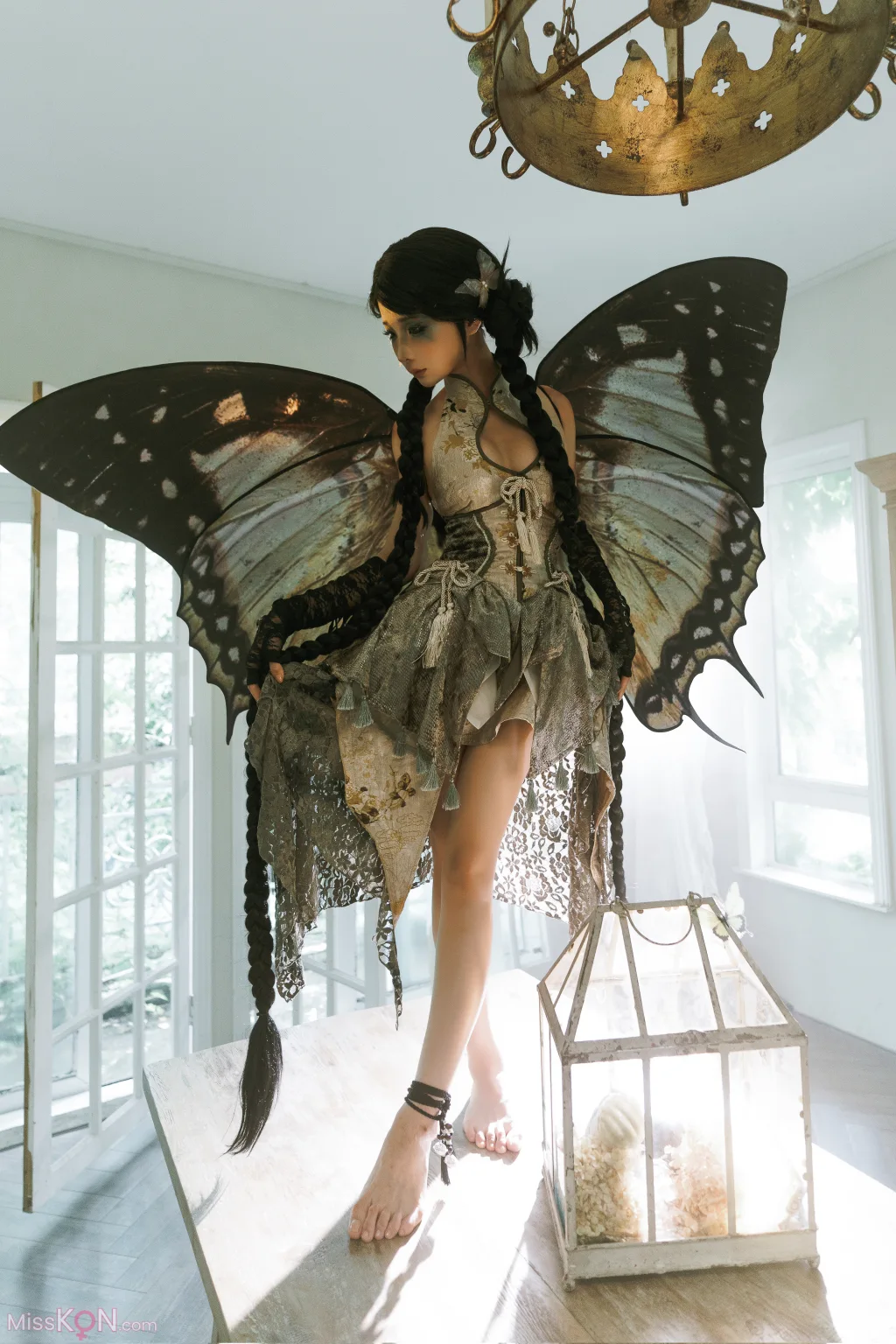 Coser@蠢沫沫 (chunmomo)_ 枯叶蝶