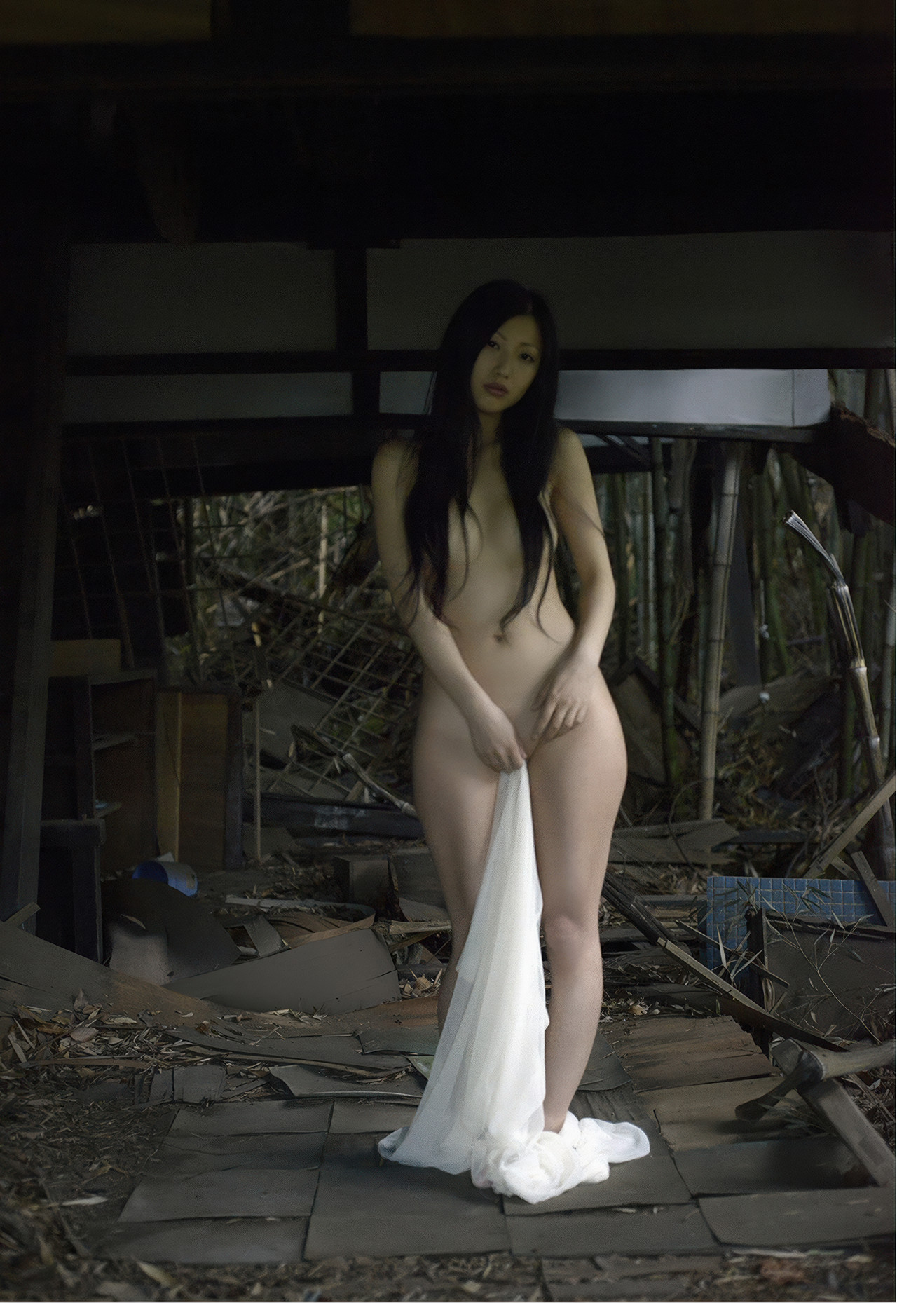 Mitsu Dan 壇蜜, デジタル写真集 蔵のなかの・・・ Premium Archive