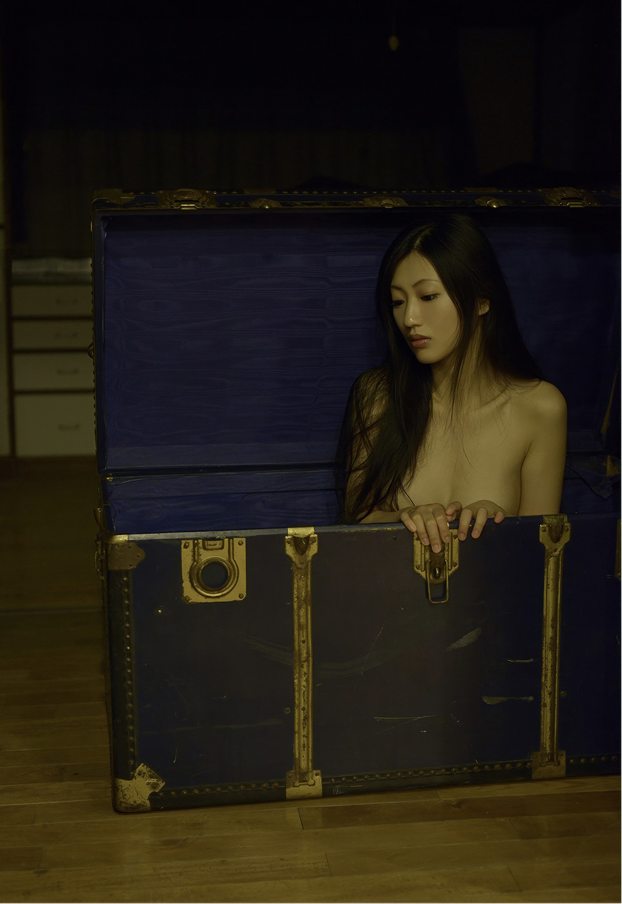 Mitsu Dan 壇蜜, デジタル写真集 蔵のなかの・・・ Premium Archive