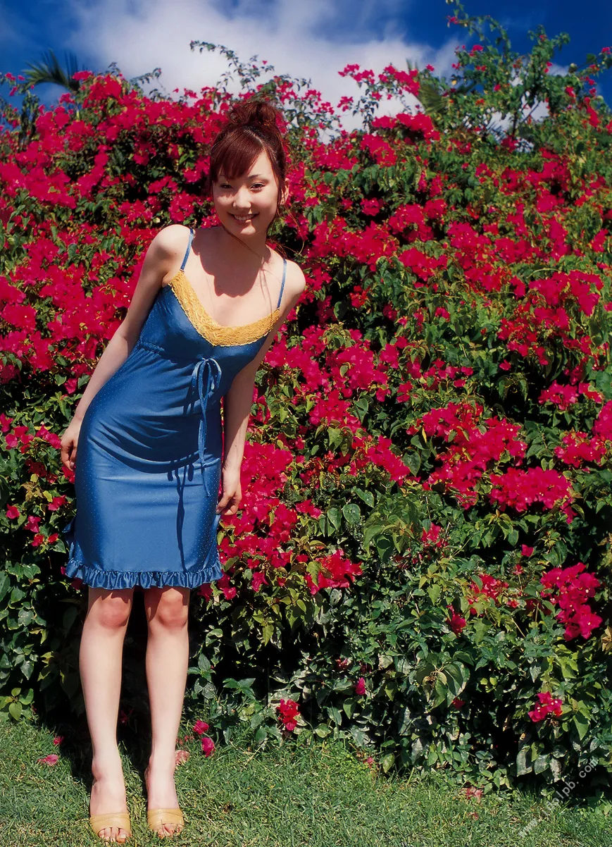 2003.05 酒井瑛里 写真集 Bonita