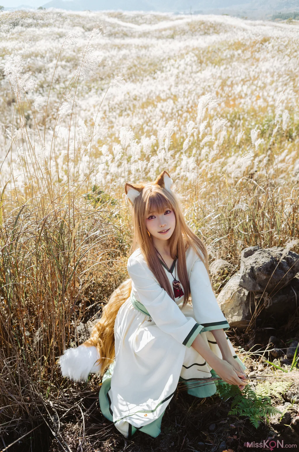 Coser@Ely_eee (ElyEE子)_ Breeze 狼與微風