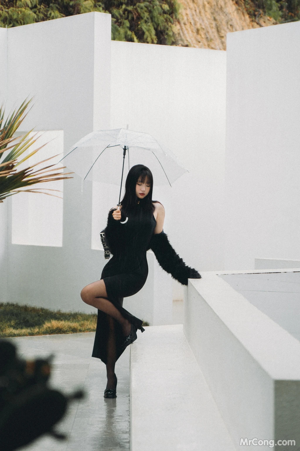 Coser@柒柒要乖哦_ 清寂