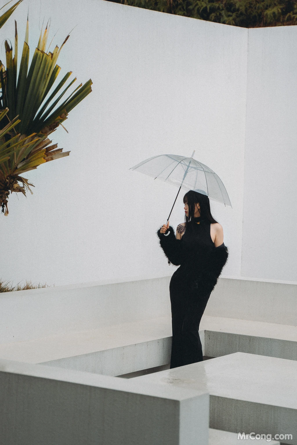 Coser@柒柒要乖哦_ 清寂