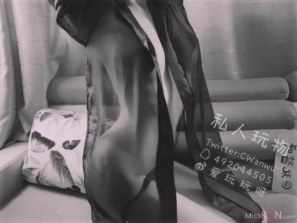 Coser@私人玩物_ 性感透视情趣诱惑特辑 34 Coser@私人玩物_ 性感透视情趣诱惑特辑