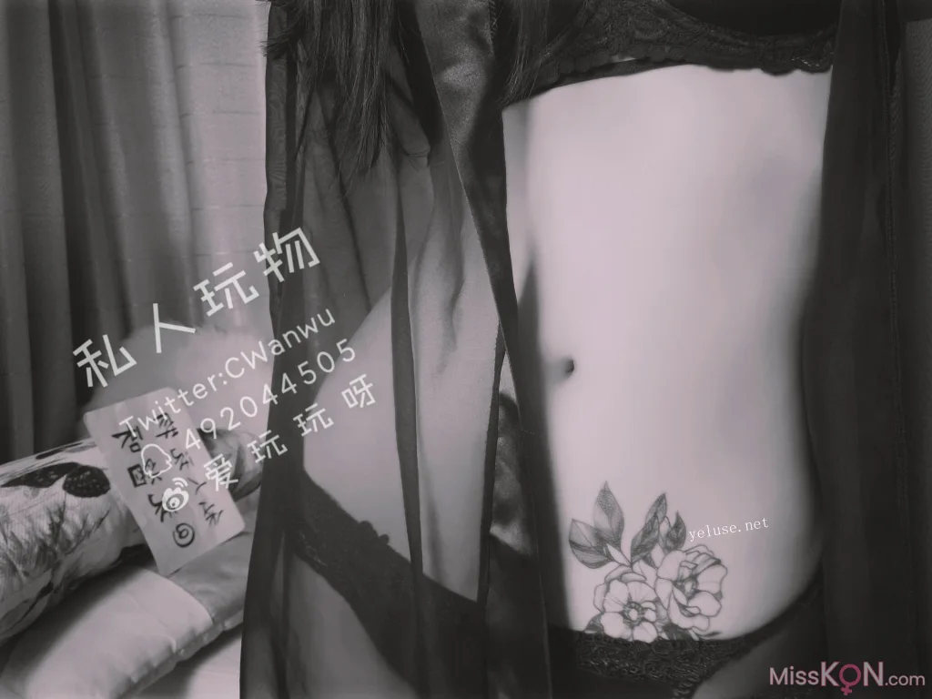 Coser@私人玩物_ 性感透视情趣诱惑特辑 28 Coser@私人玩物_ 性感透视情趣诱惑特辑