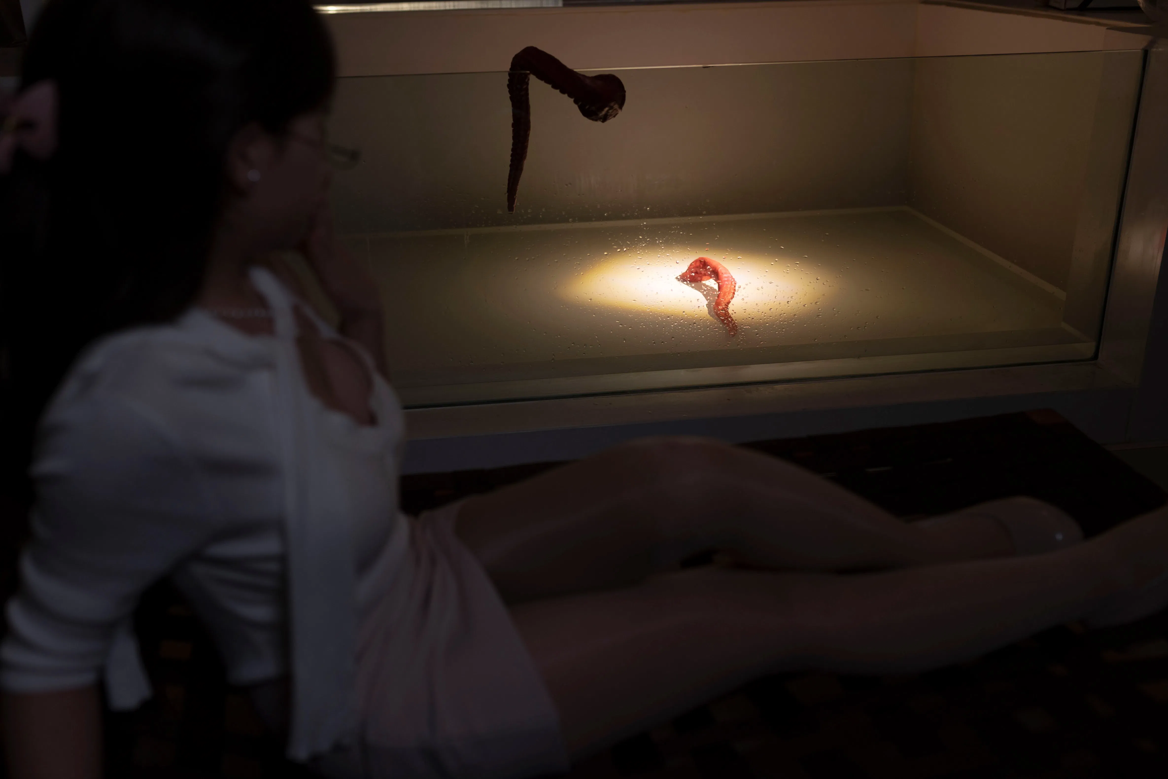 [Cosplay] Bangni邦尼 - 触手来袭