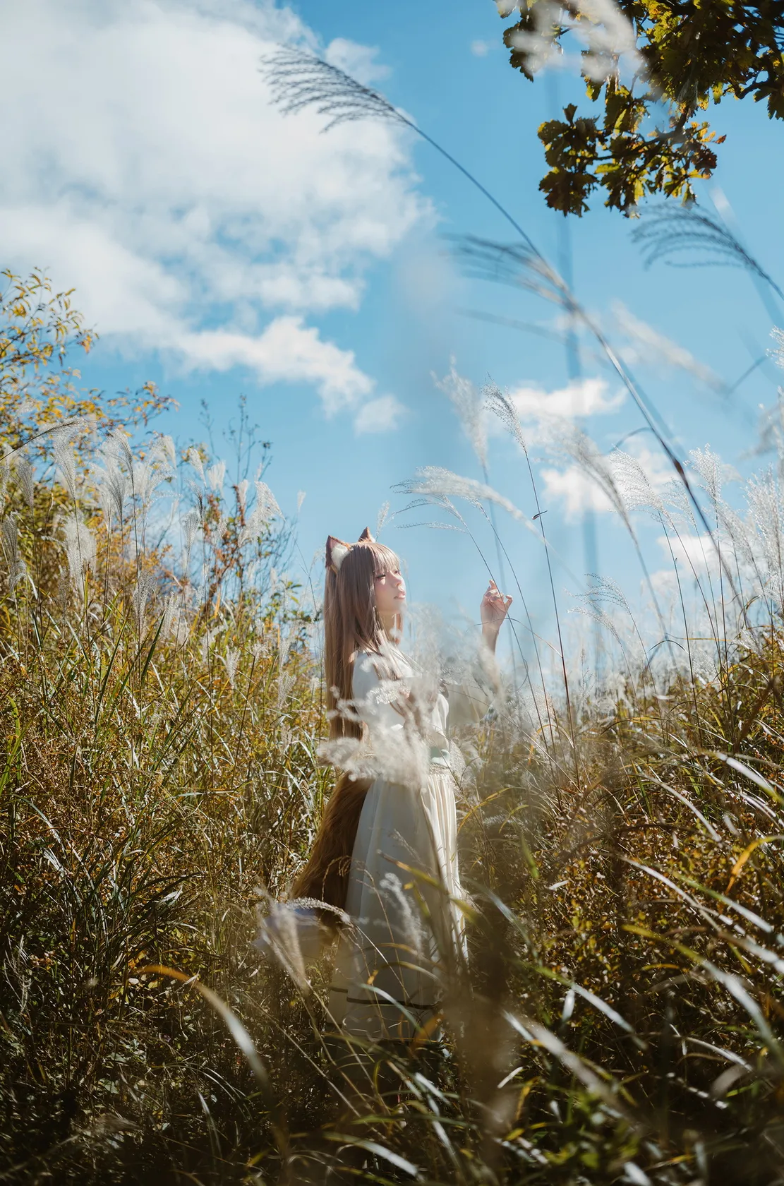 [Cosplay] Ely - Breeze 狼與微風