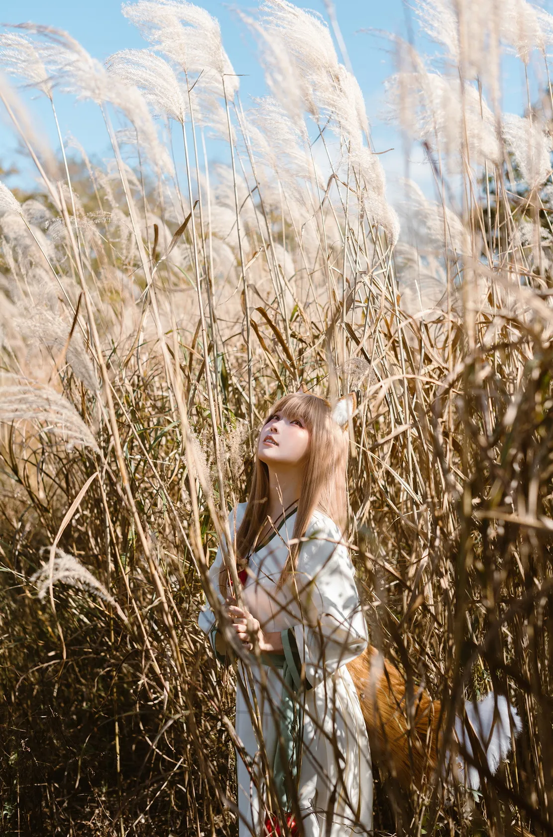 [Cosplay] Ely - Breeze 狼與微風