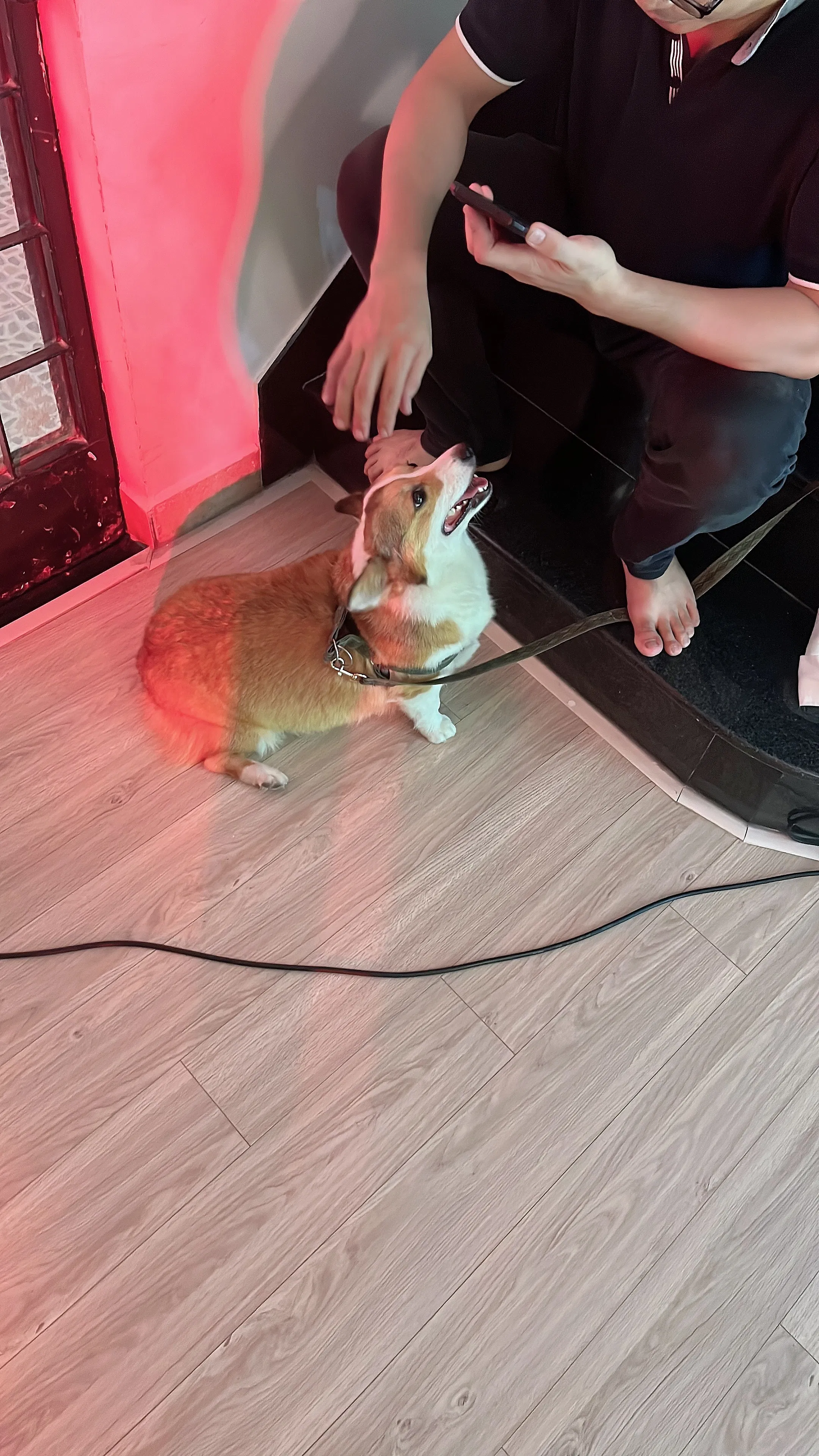 [Cosplay] Puypuy - Faye