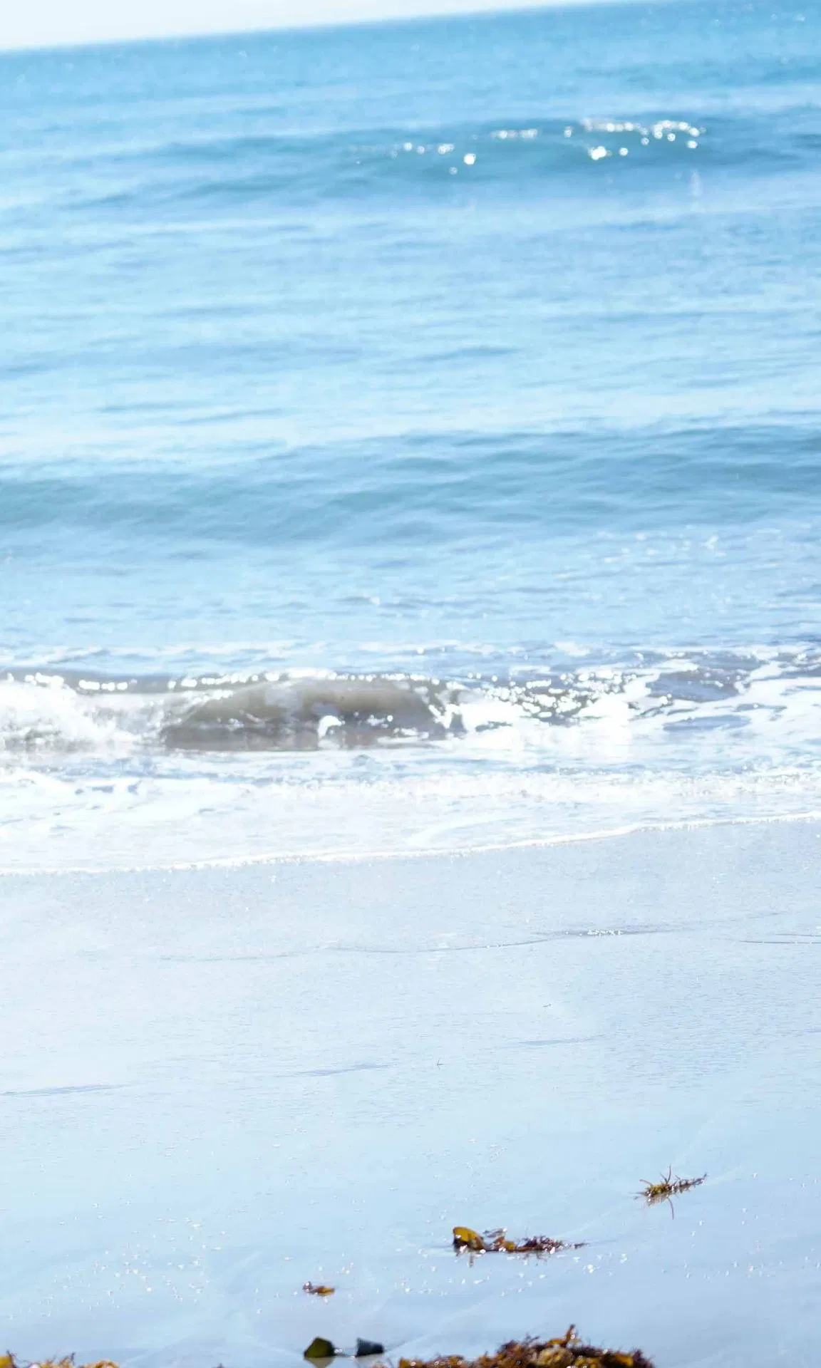 [Photobook] 奈月セナ写真集「夏の女神さまっ!～Summer Venus～」