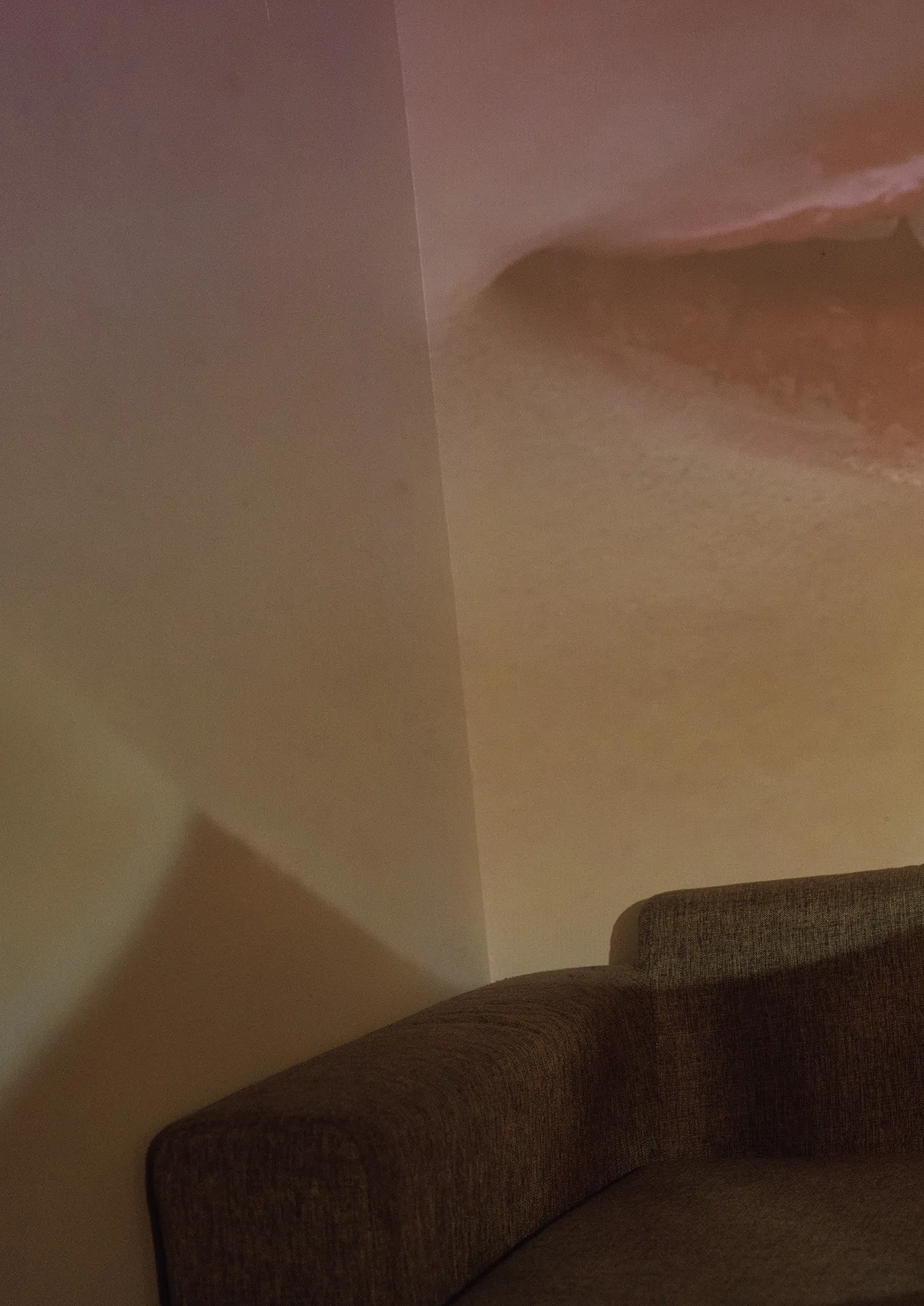 [Photobook] MINAMO写真集 愛の果実