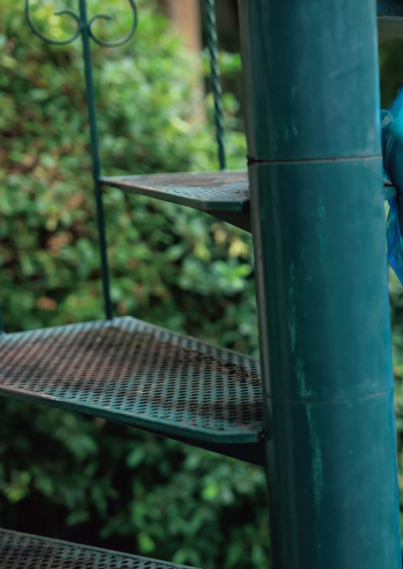 [Photobook] MINAMO写真集 愛の果実