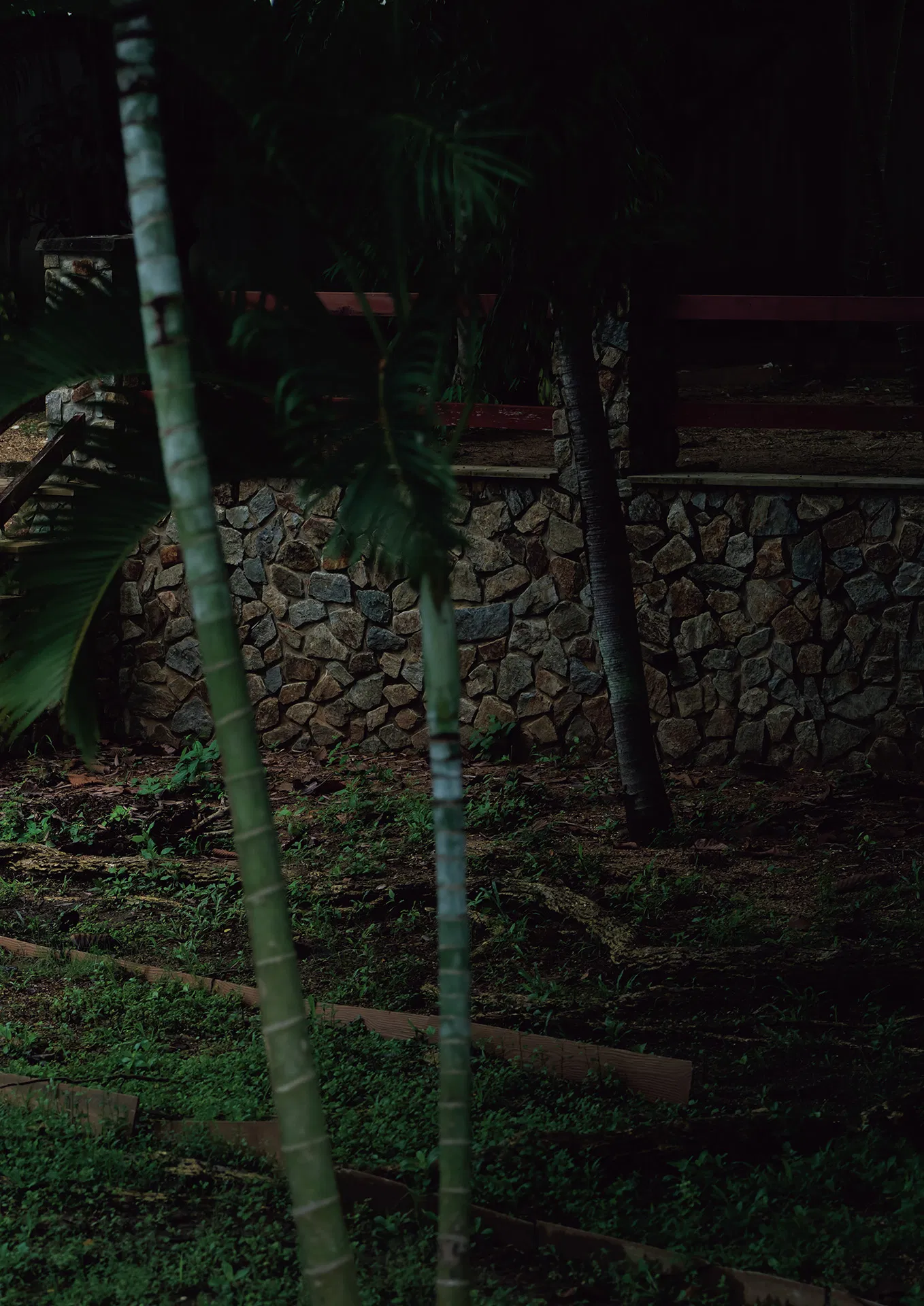 [Photobook] MINAMO写真集 愛の果実