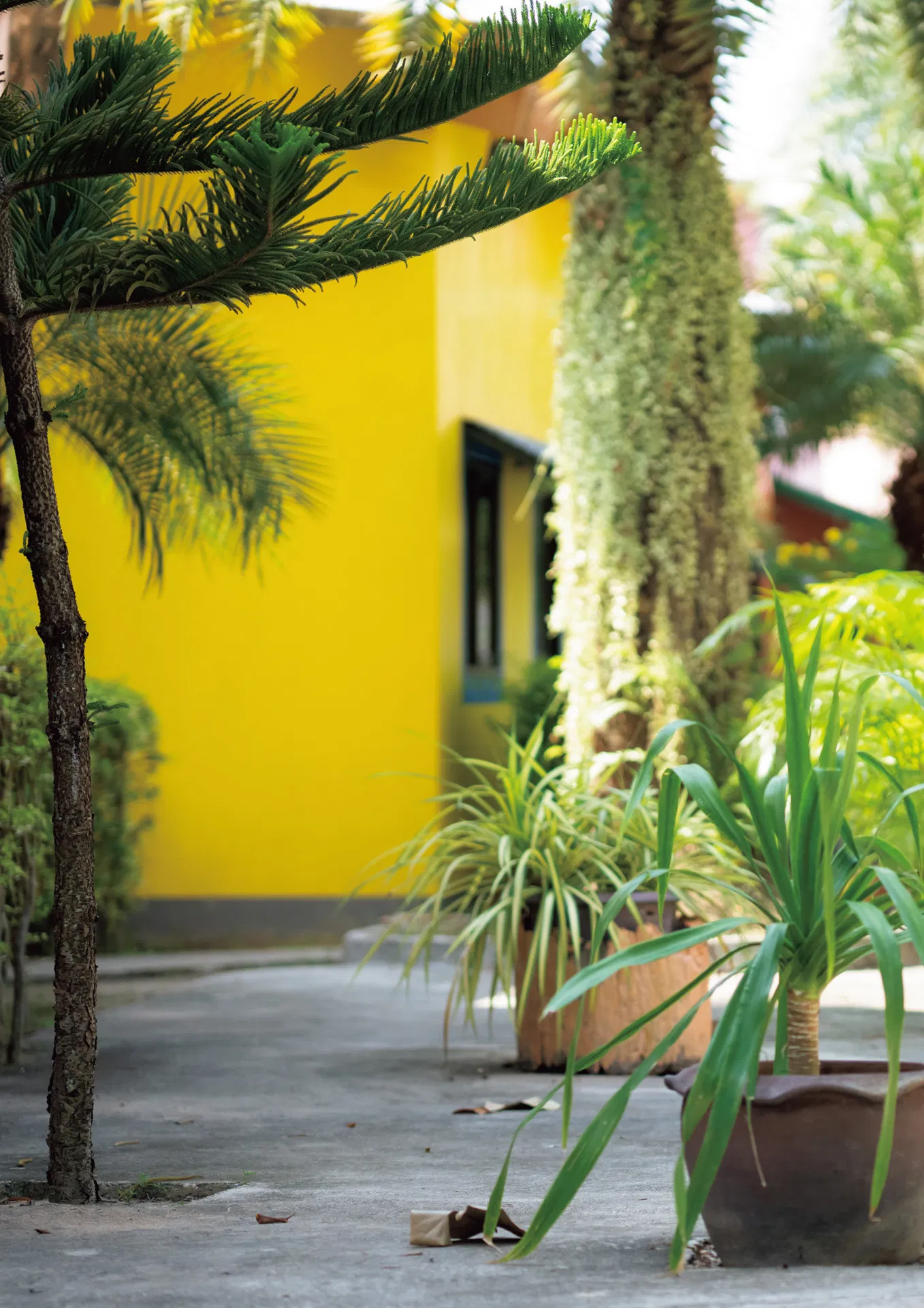 [Photobook] 九野ひなの写真集 「mellow」 - LUCKMAN & 九野ひなの