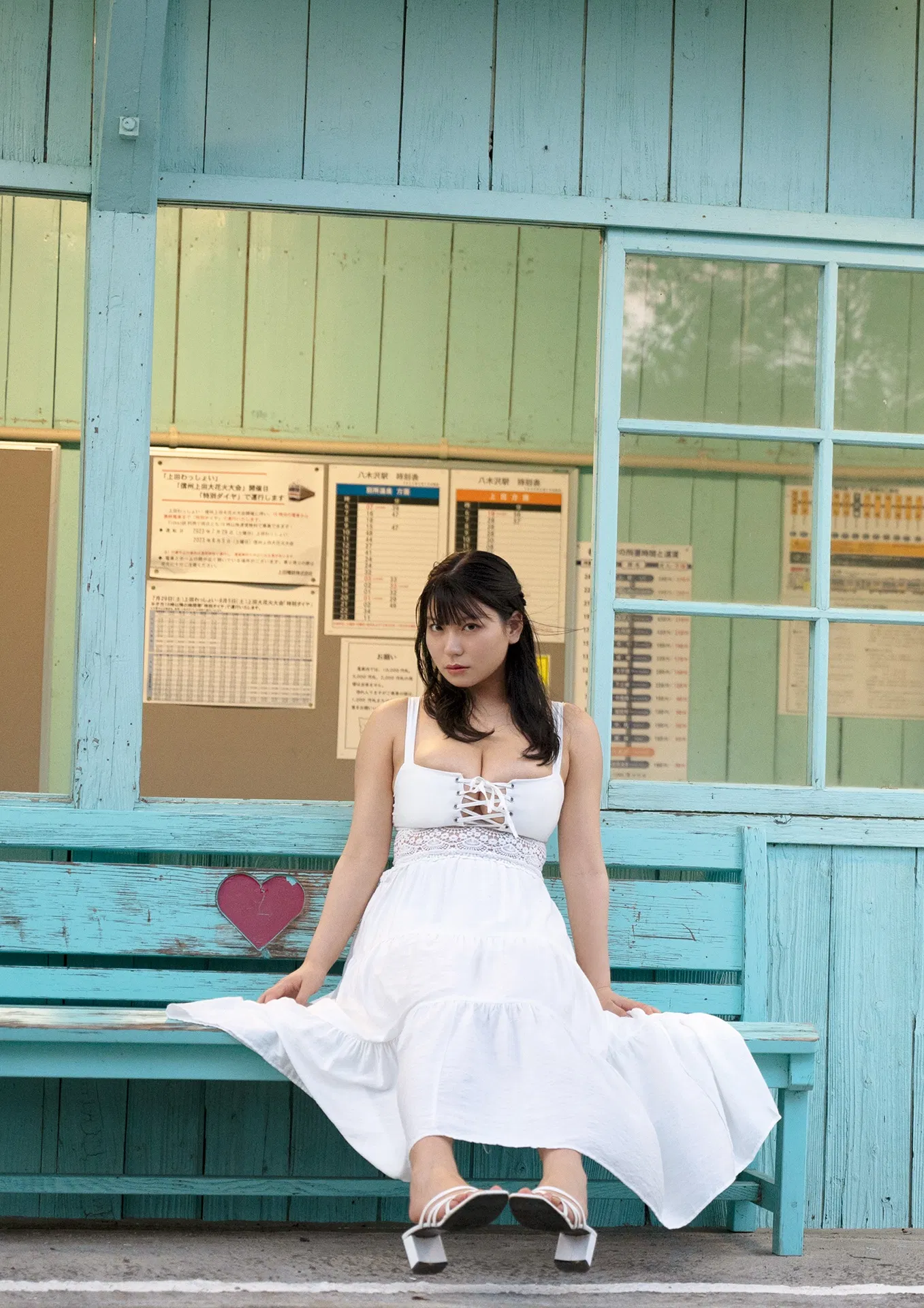 [Photobook] 大葉めも写真集 ラストメモリー