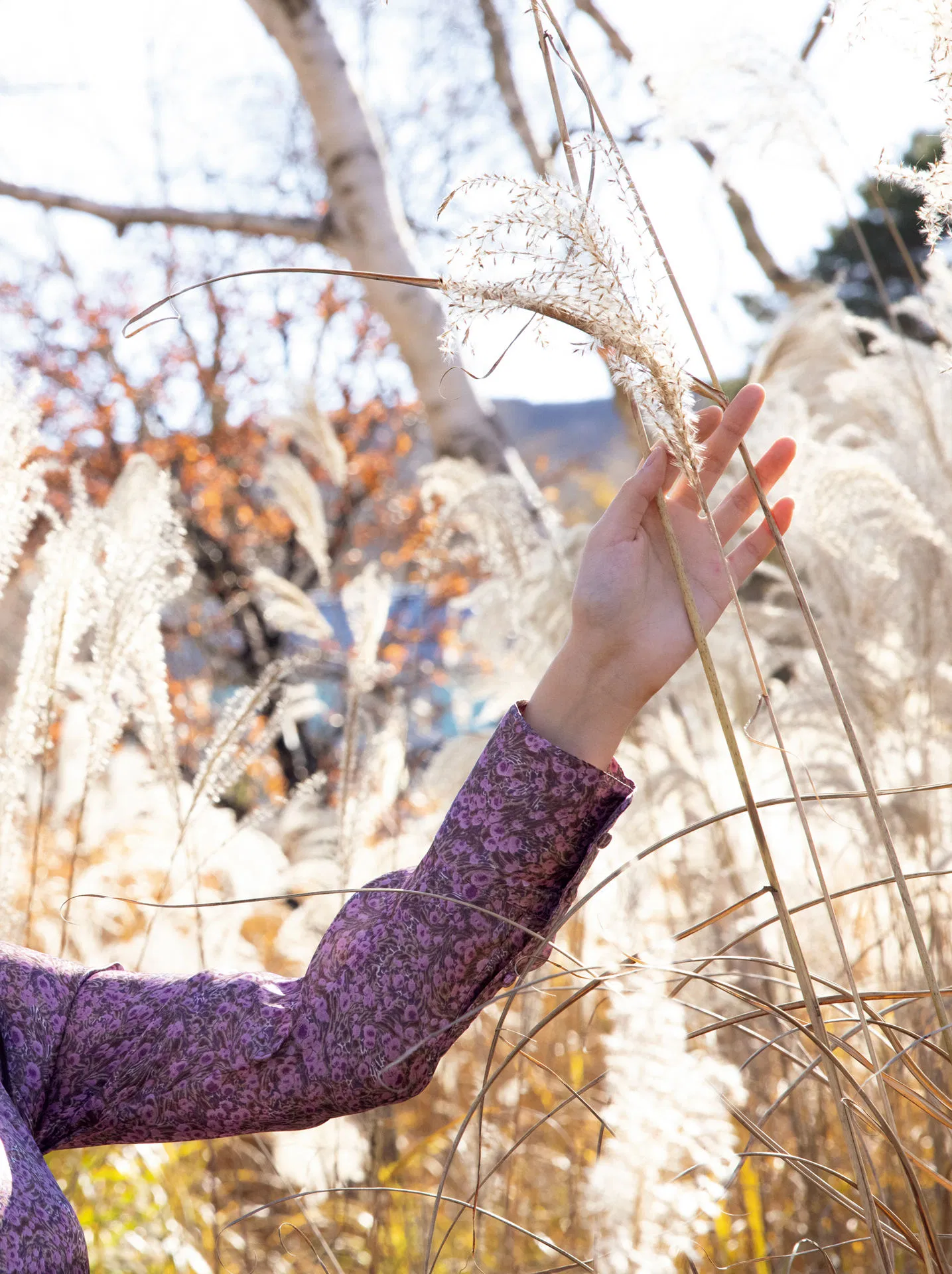 [Photobook] 街山みほ【Scarlet】