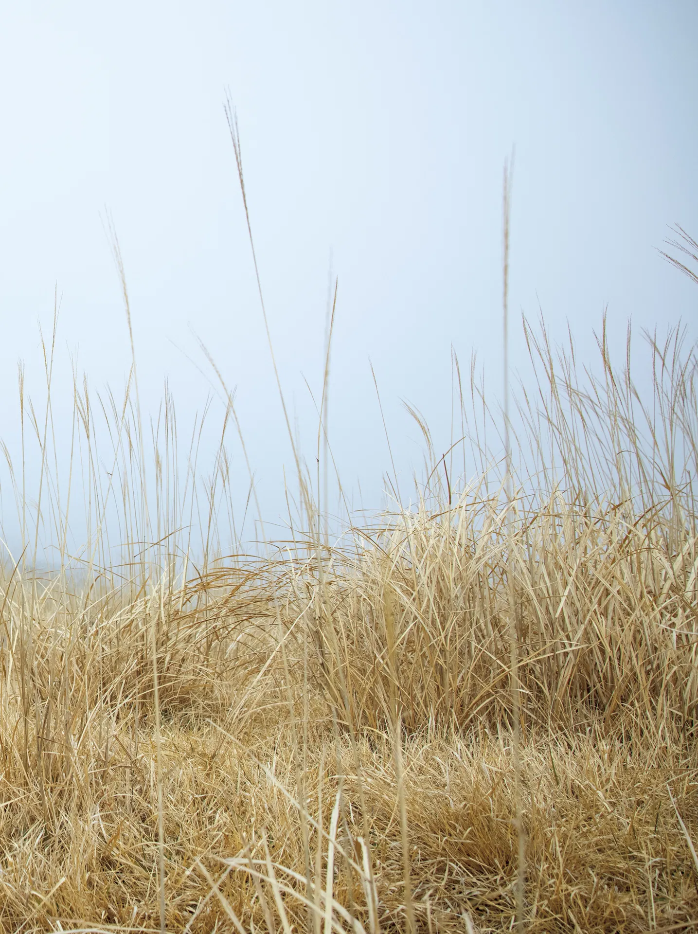 [Photobook]【電子版だけの特典カット付き】街山みほ写真集『Ｐｈａｎｔｏｍ』