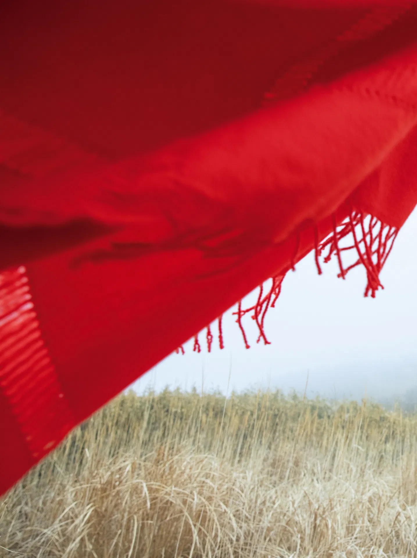 [Photobook]【電子版だけの特典カット付き】街山みほ写真集『Ｐｈａｎｔｏｍ』