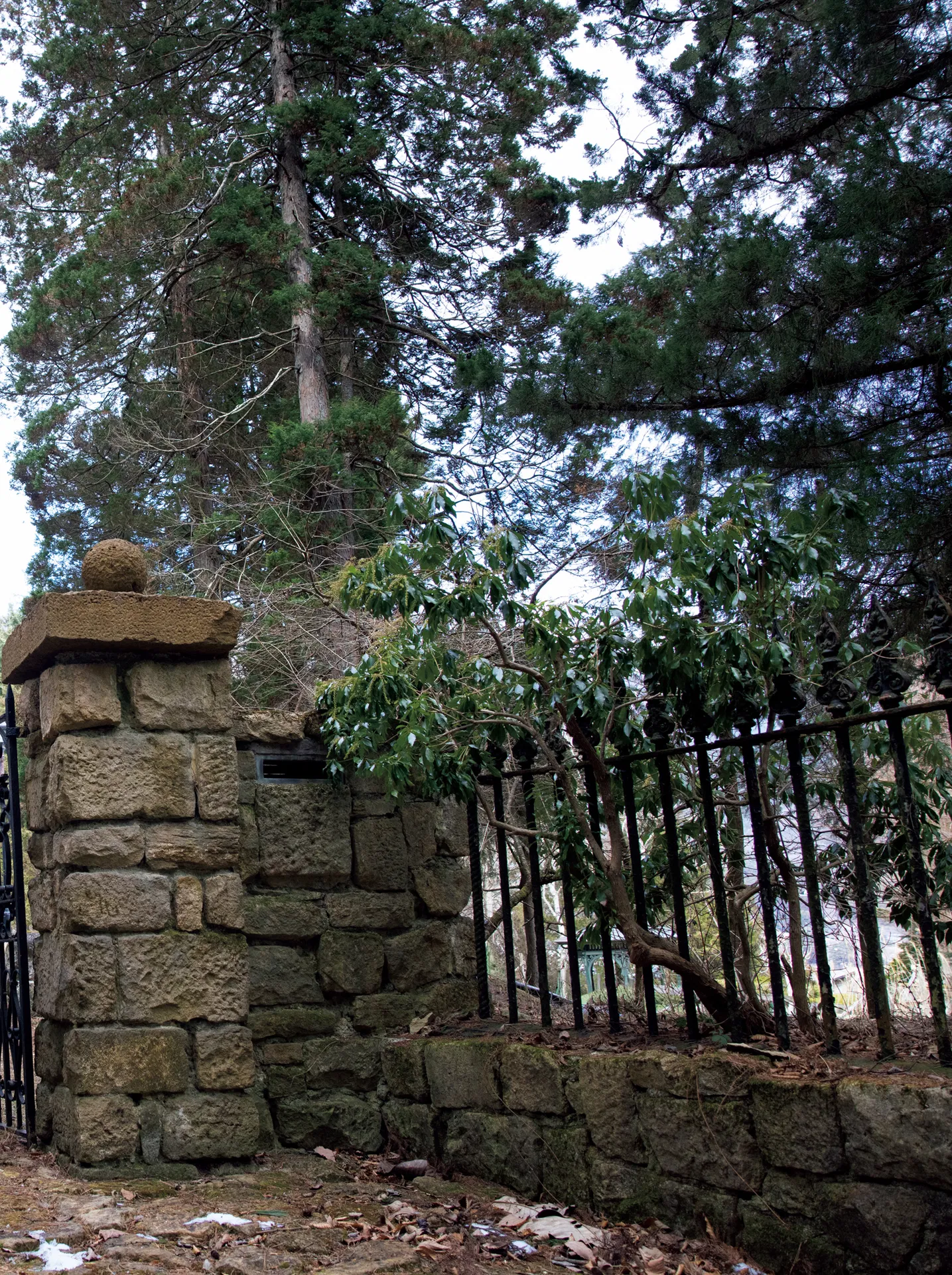 [Photobook]【電子版だけの特典カット付き】街山みほ写真集『Ｐｈａｎｔｏｍ』