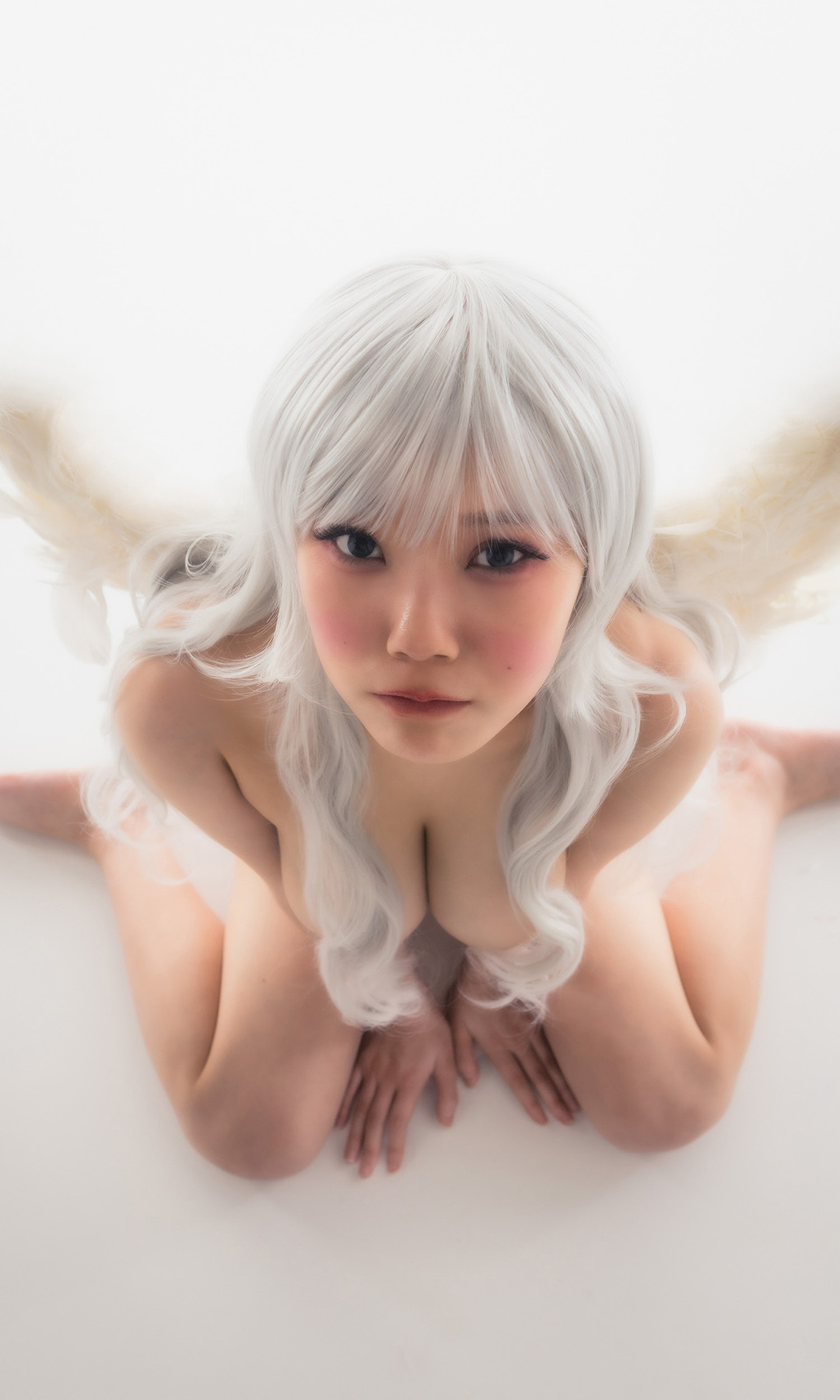 Agehasan Botto アゲハサン・ボット, 写真集 宇宙カラノ侵略者 「J-Cup Butterfly」 Set.03 3 Agehasan Botto アゲハサン・ボット, 写真集 宇宙カラノ侵略者 「J-Cup Butterfly」 Set.03